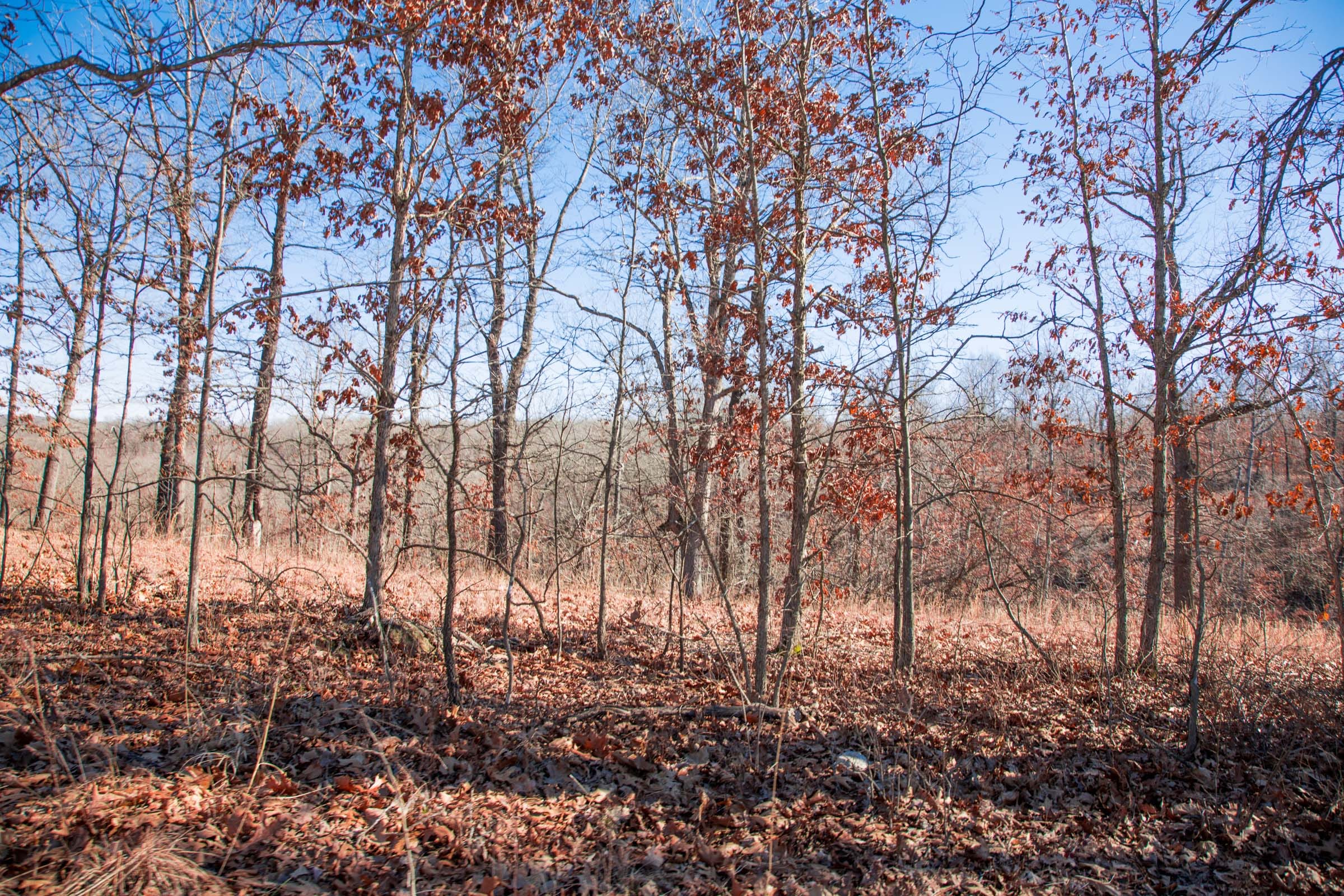 Buffalo Hills Tract 14 photo 13