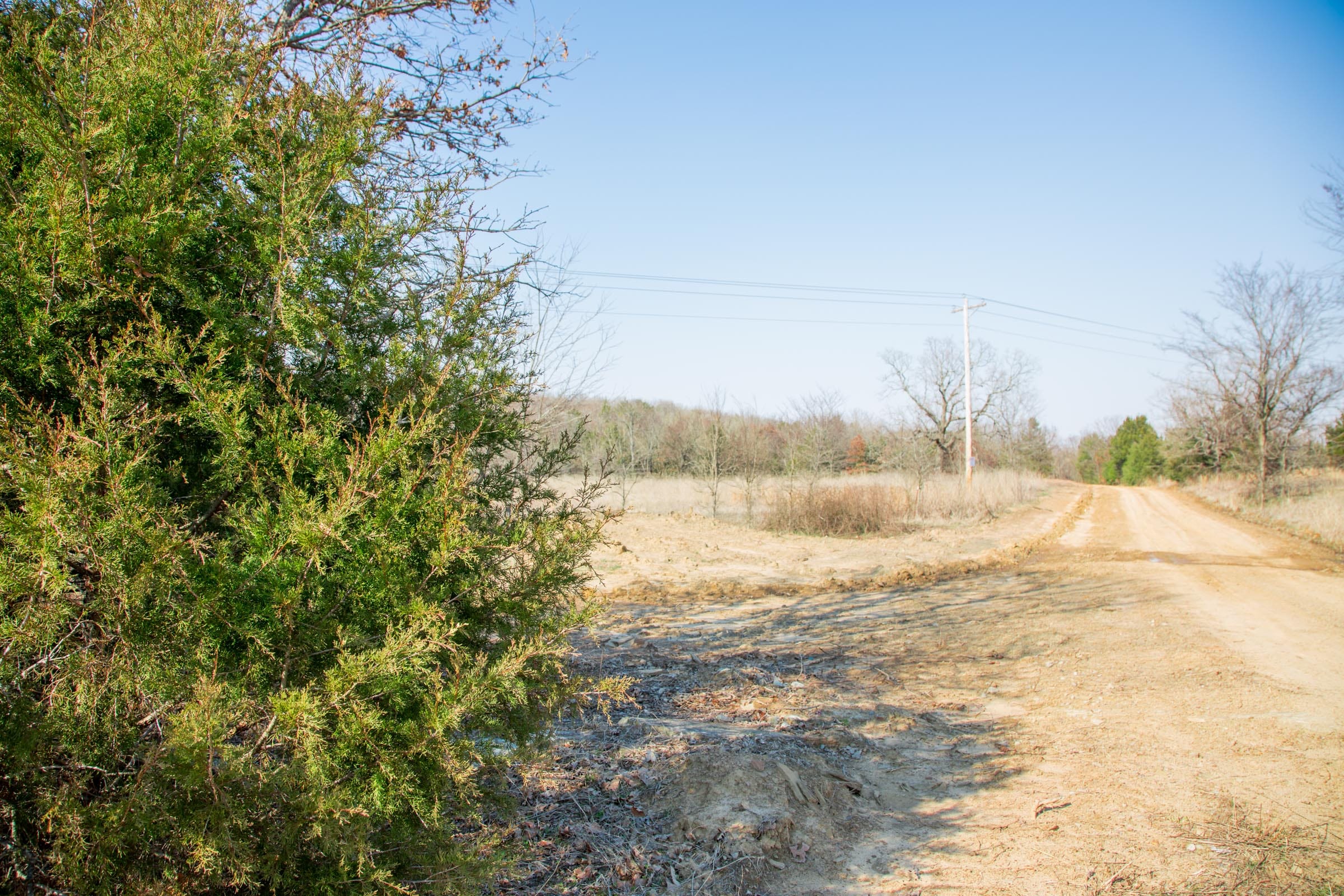 Eufaula Cove Tract 2 photo 1