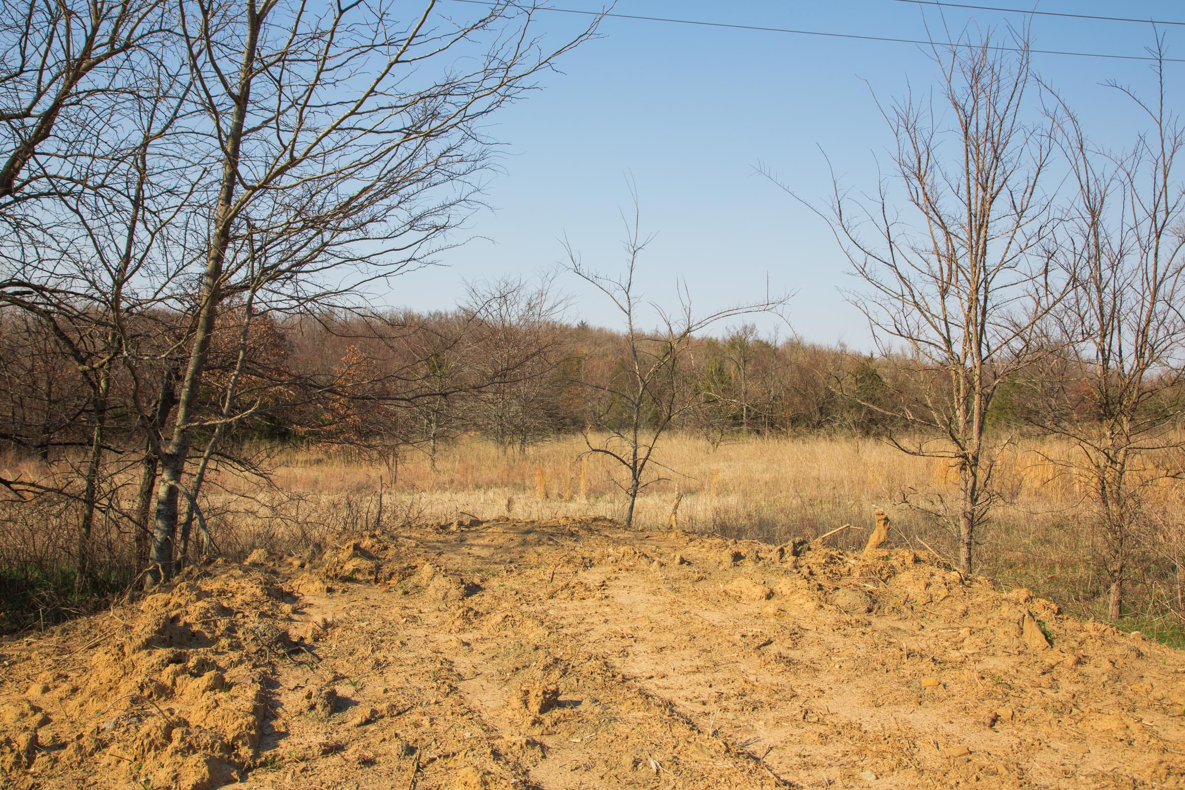 Eufaula Cove Tract 2 photo 4