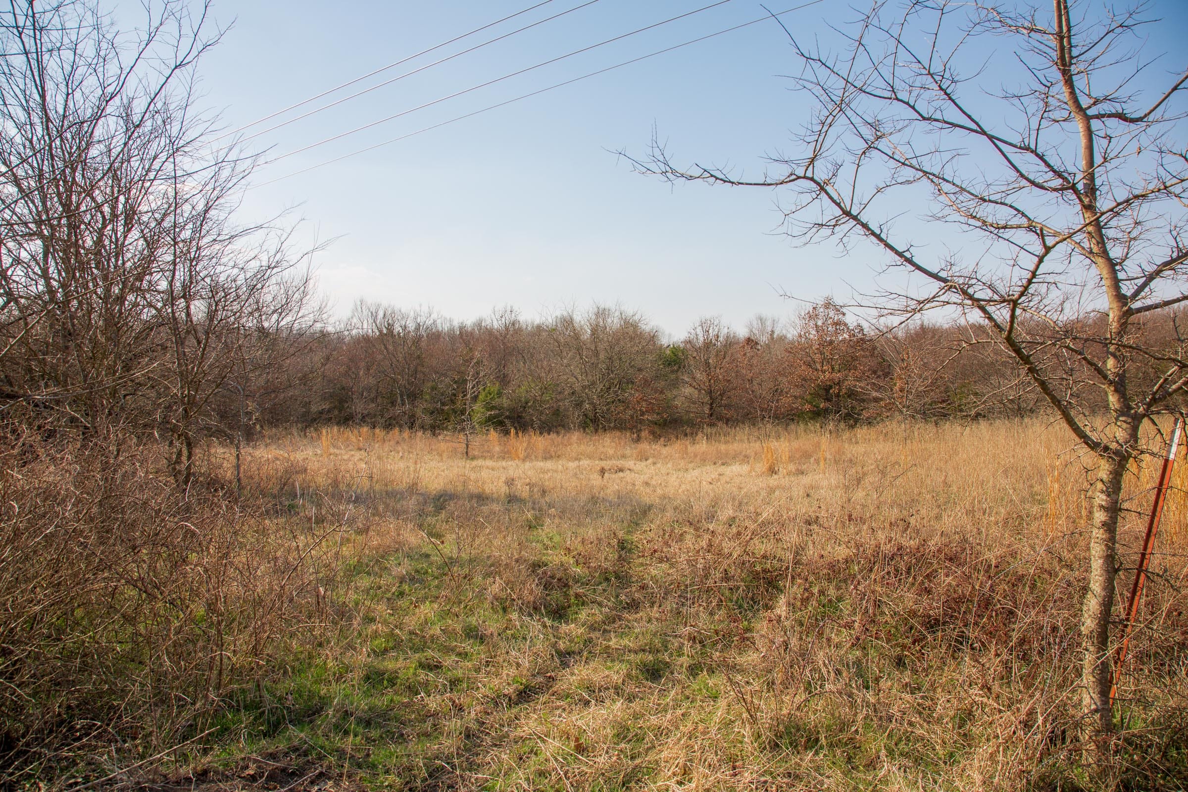 Eufaula Cove Tract 2 photo 8