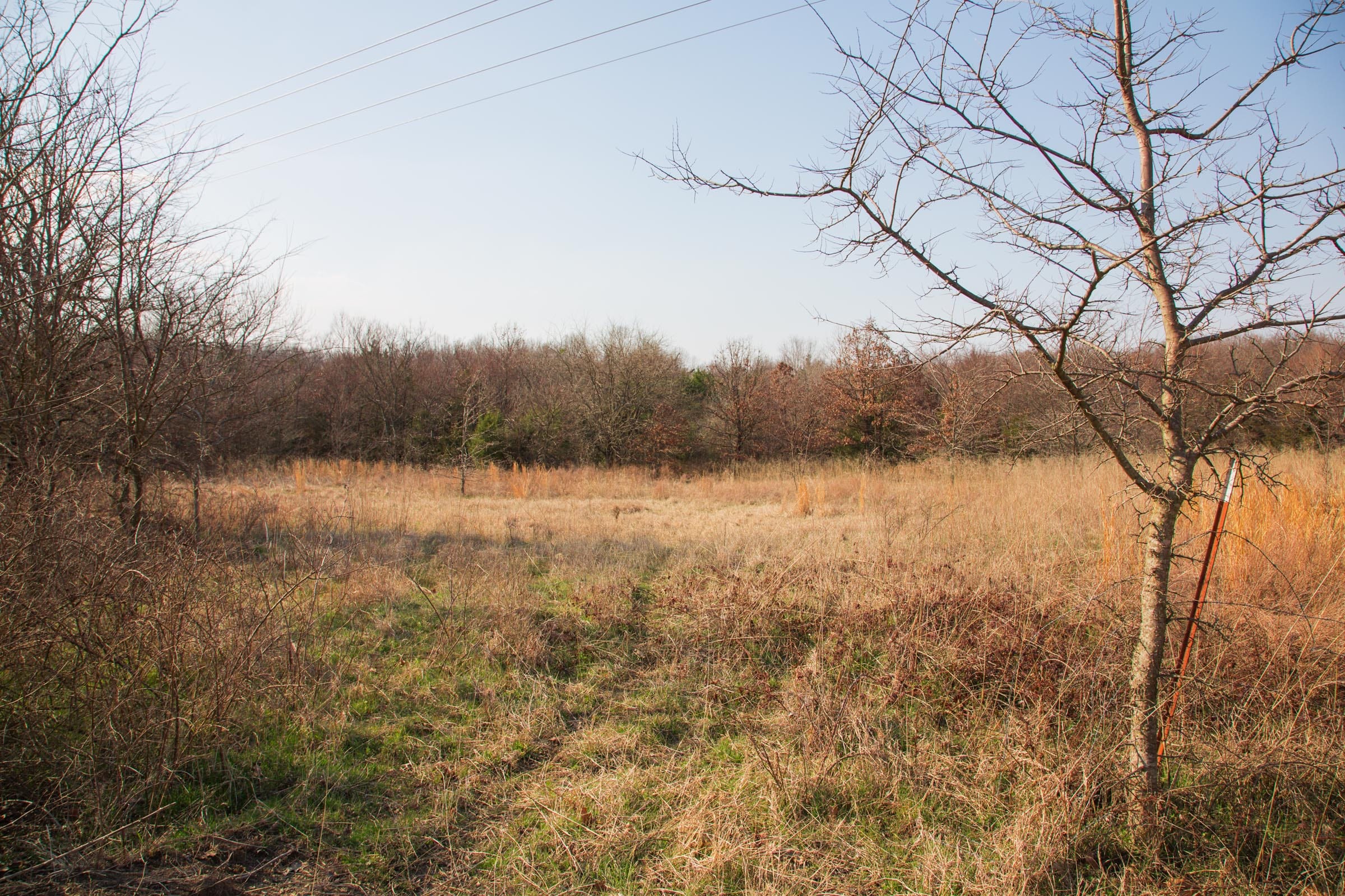 Eufaula Cove Tract 2 photo 9