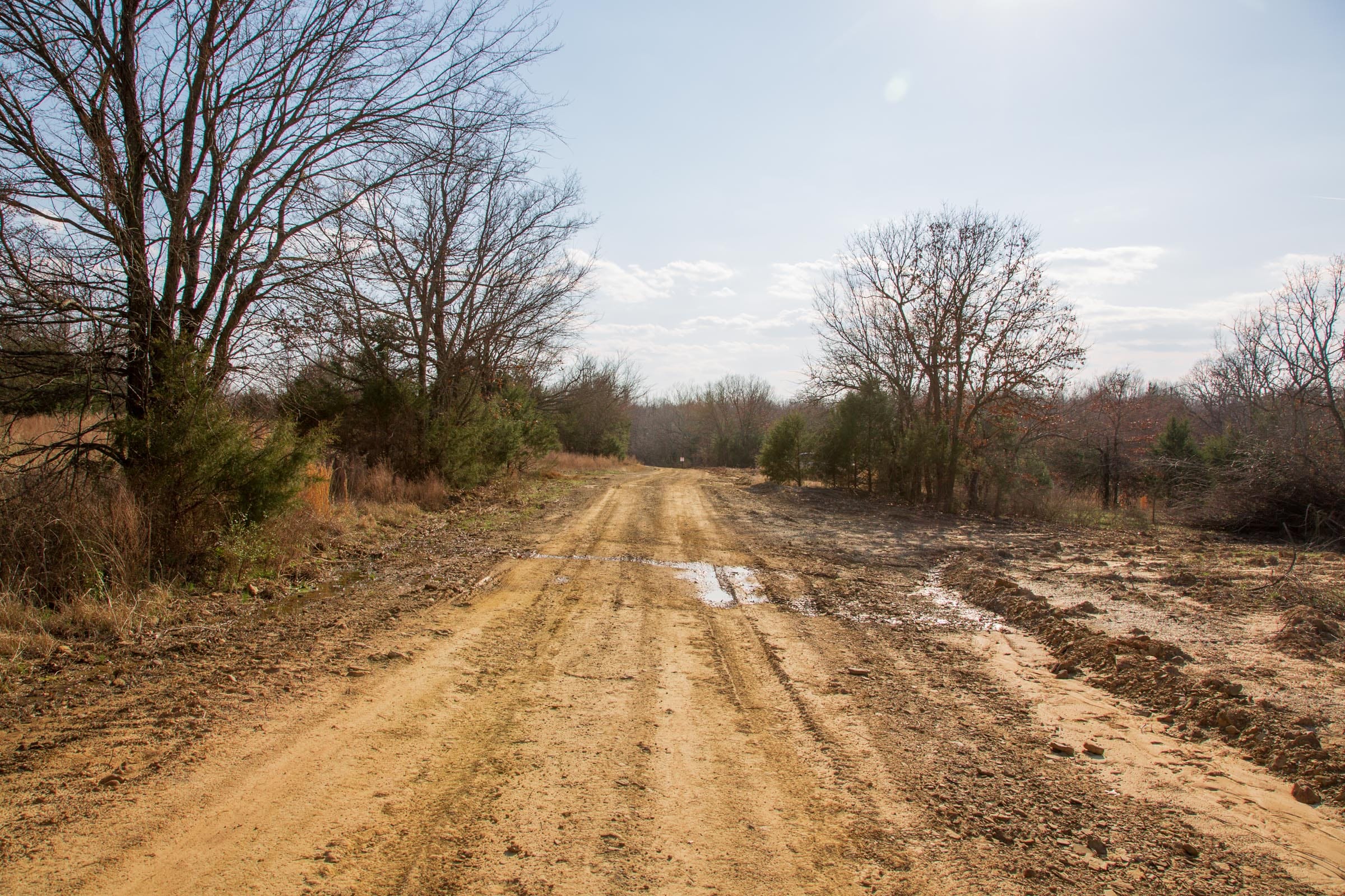 Eufaula Cove Tract 2 photo 10
