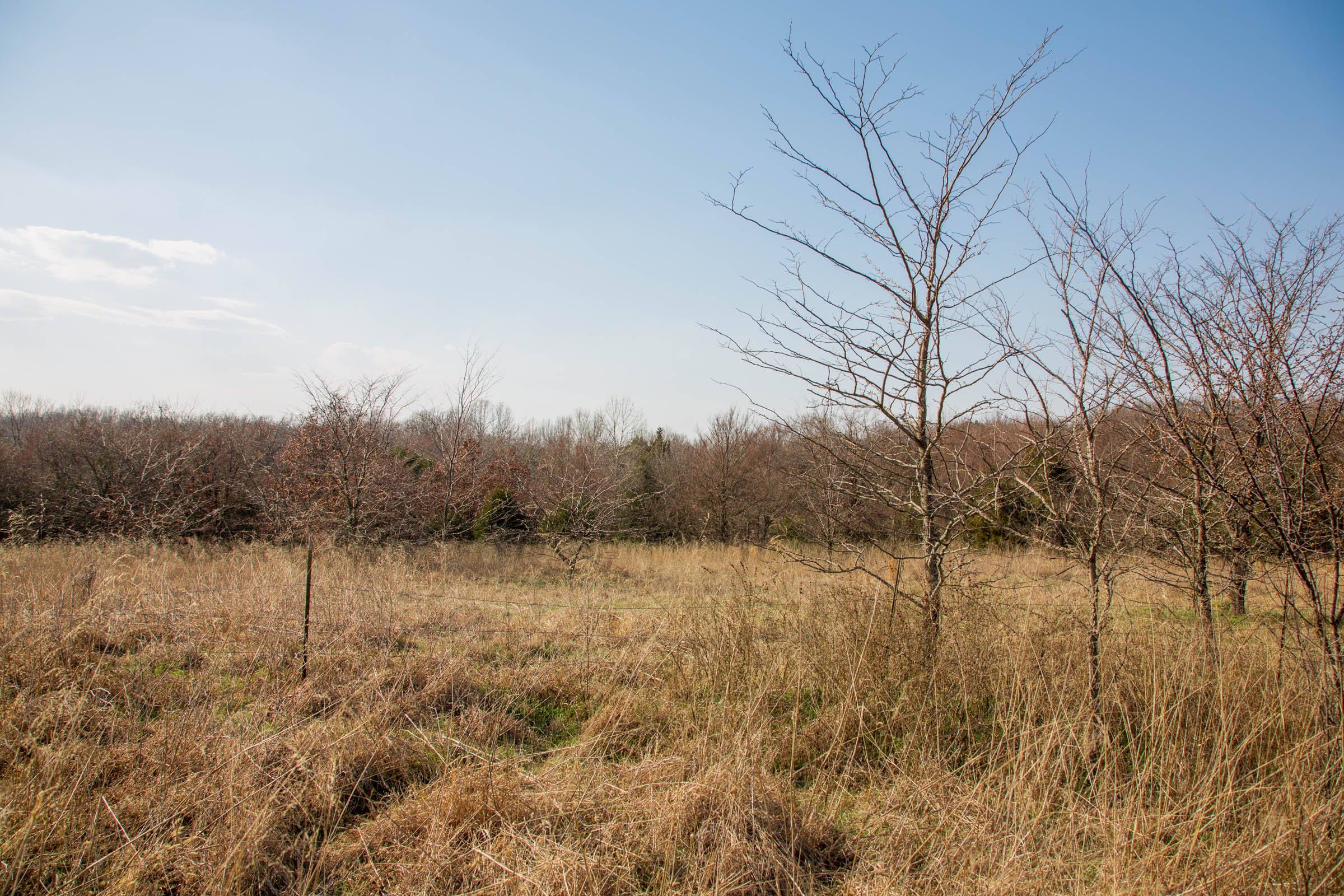 Eufaula Cove Tract 2 photo 14