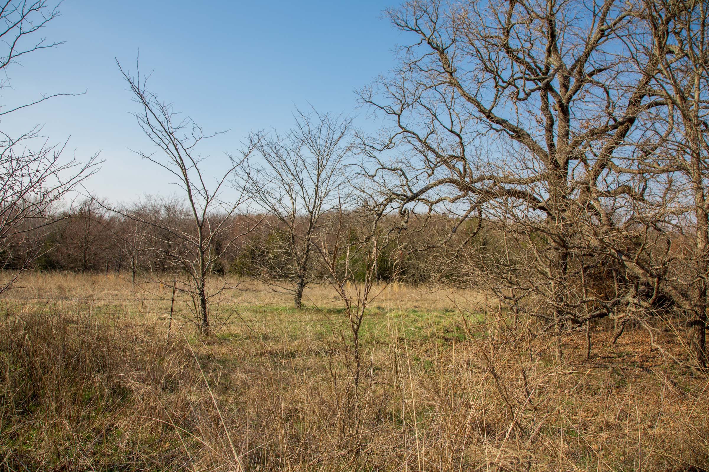 Eufaula Cove Tract 2 photo 15
