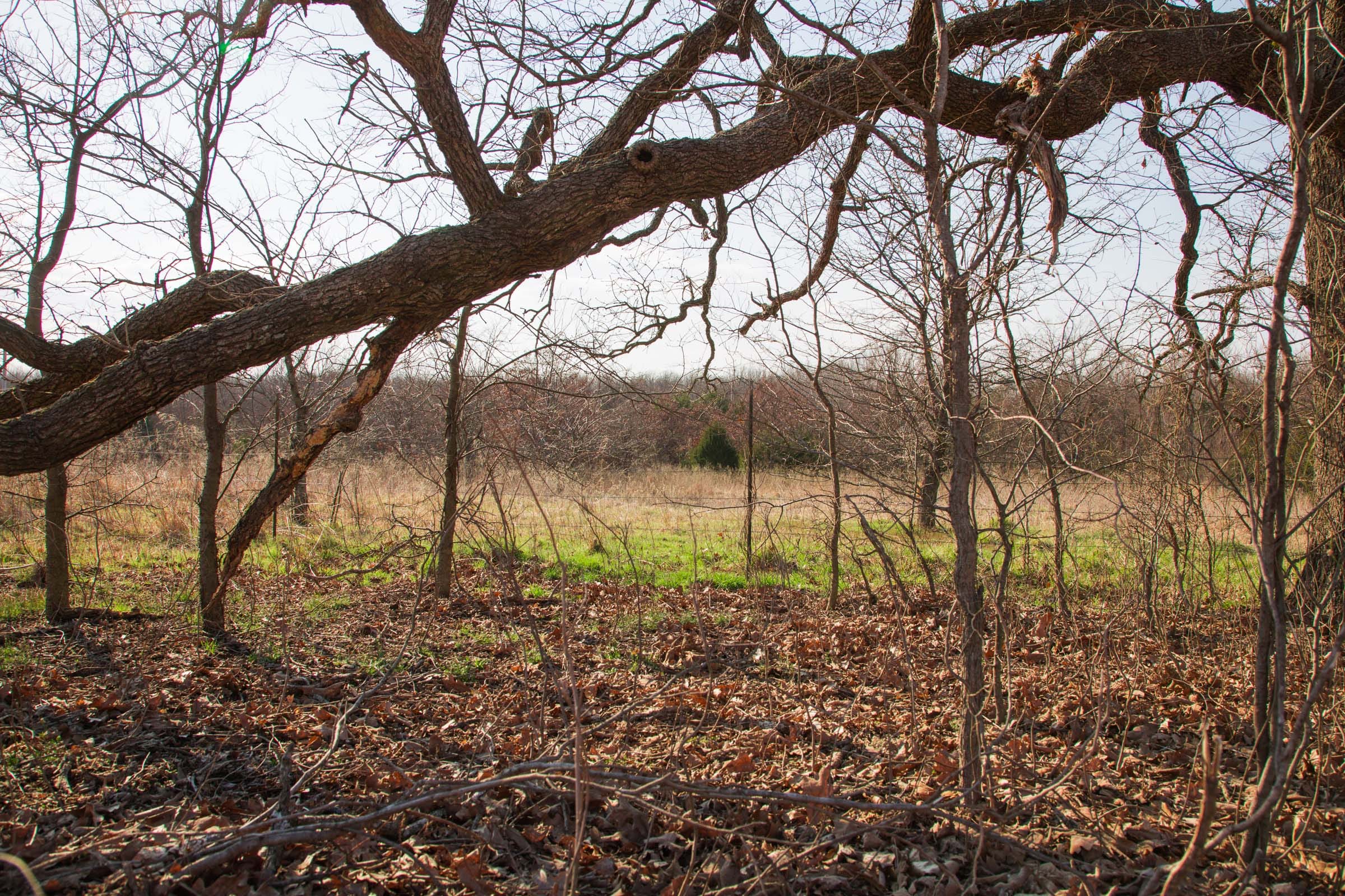 Eufaula Cove Tract 2 photo 16