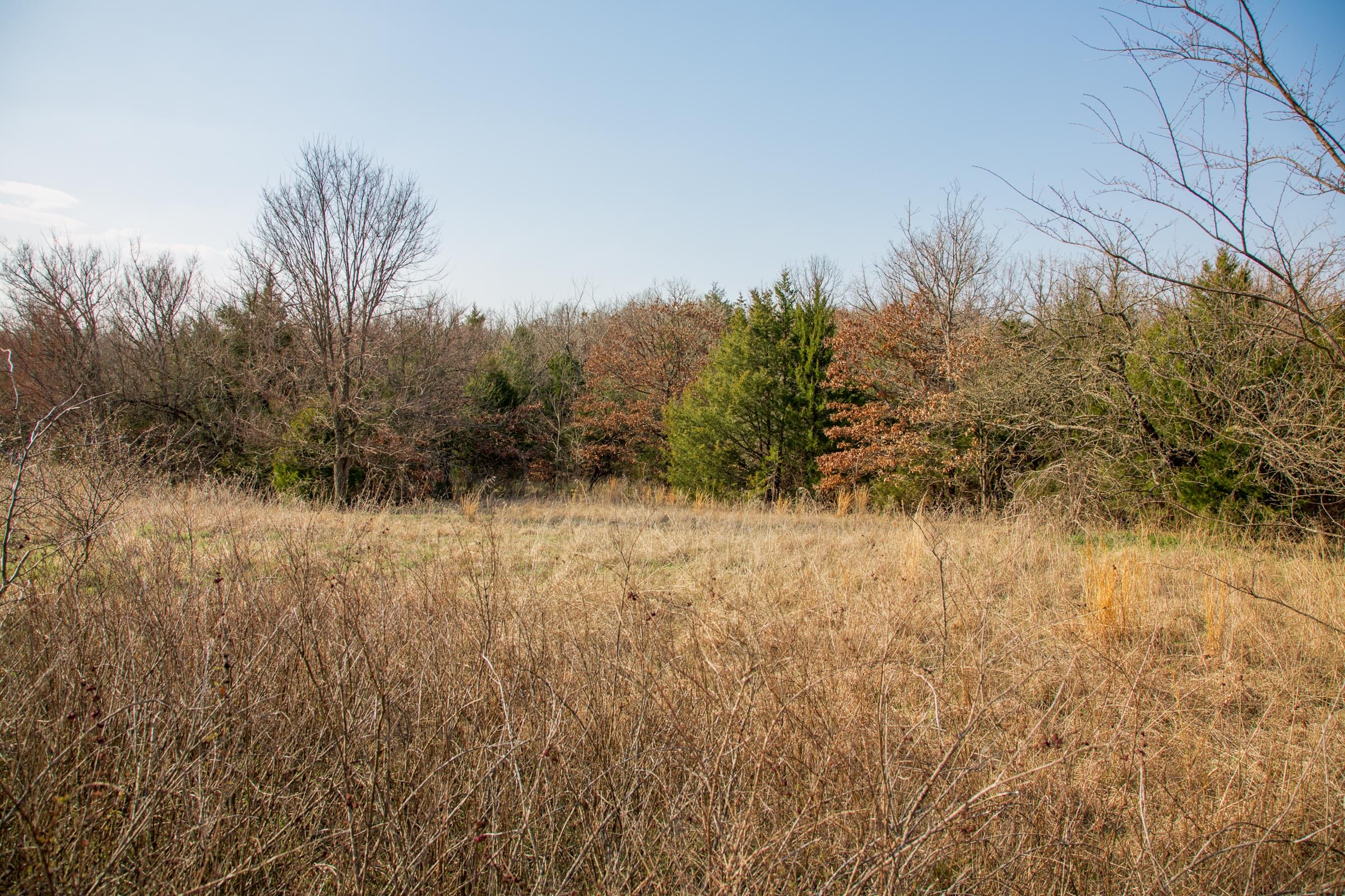 Eufaula Cove Tract 2 photo 19