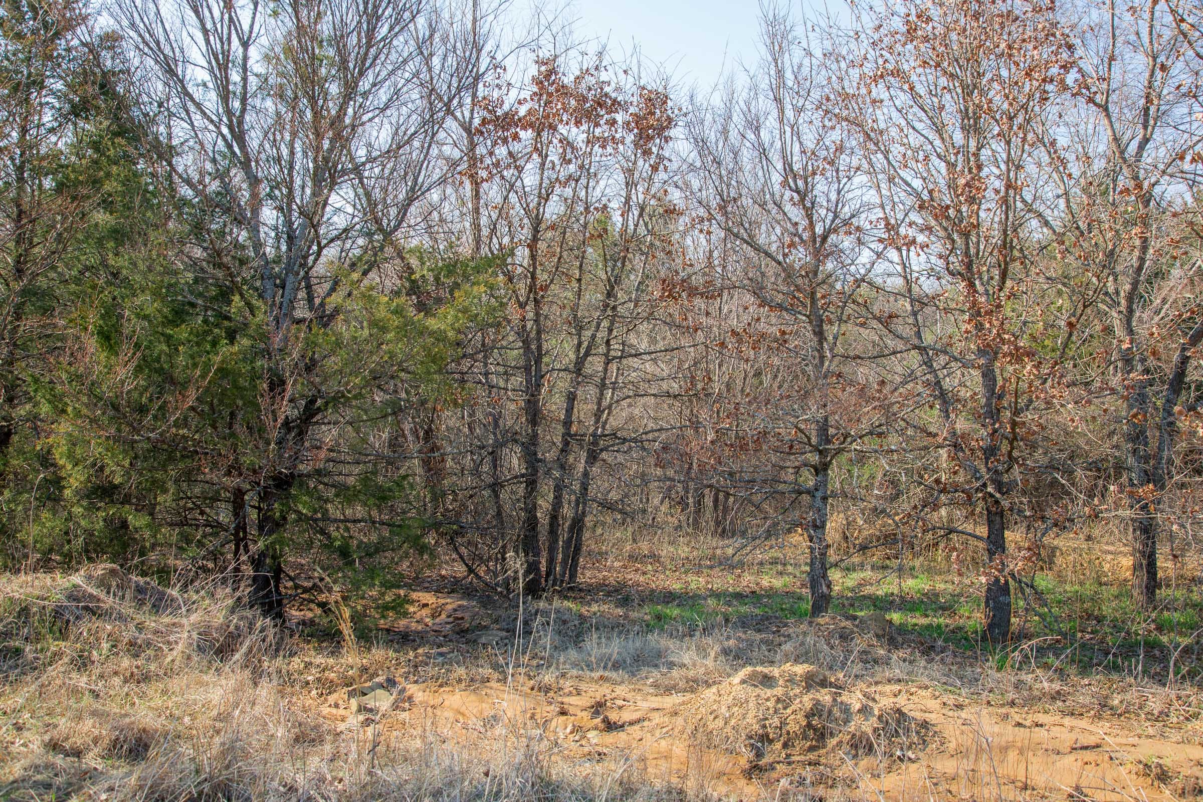 Eufaula Cove Tract 2 photo 22