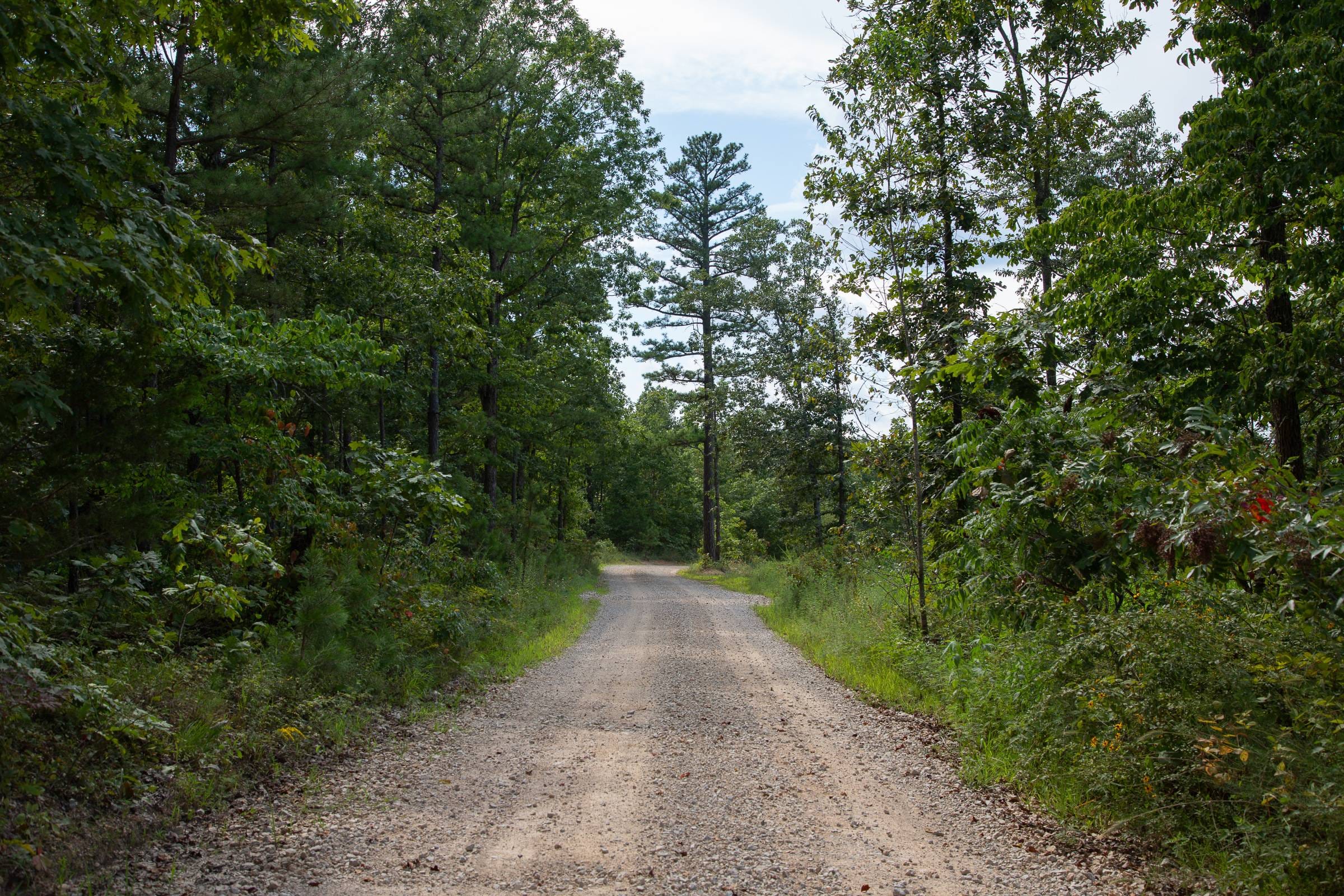 Borgmann’s Hollow Phase I Tract 22 photo 2