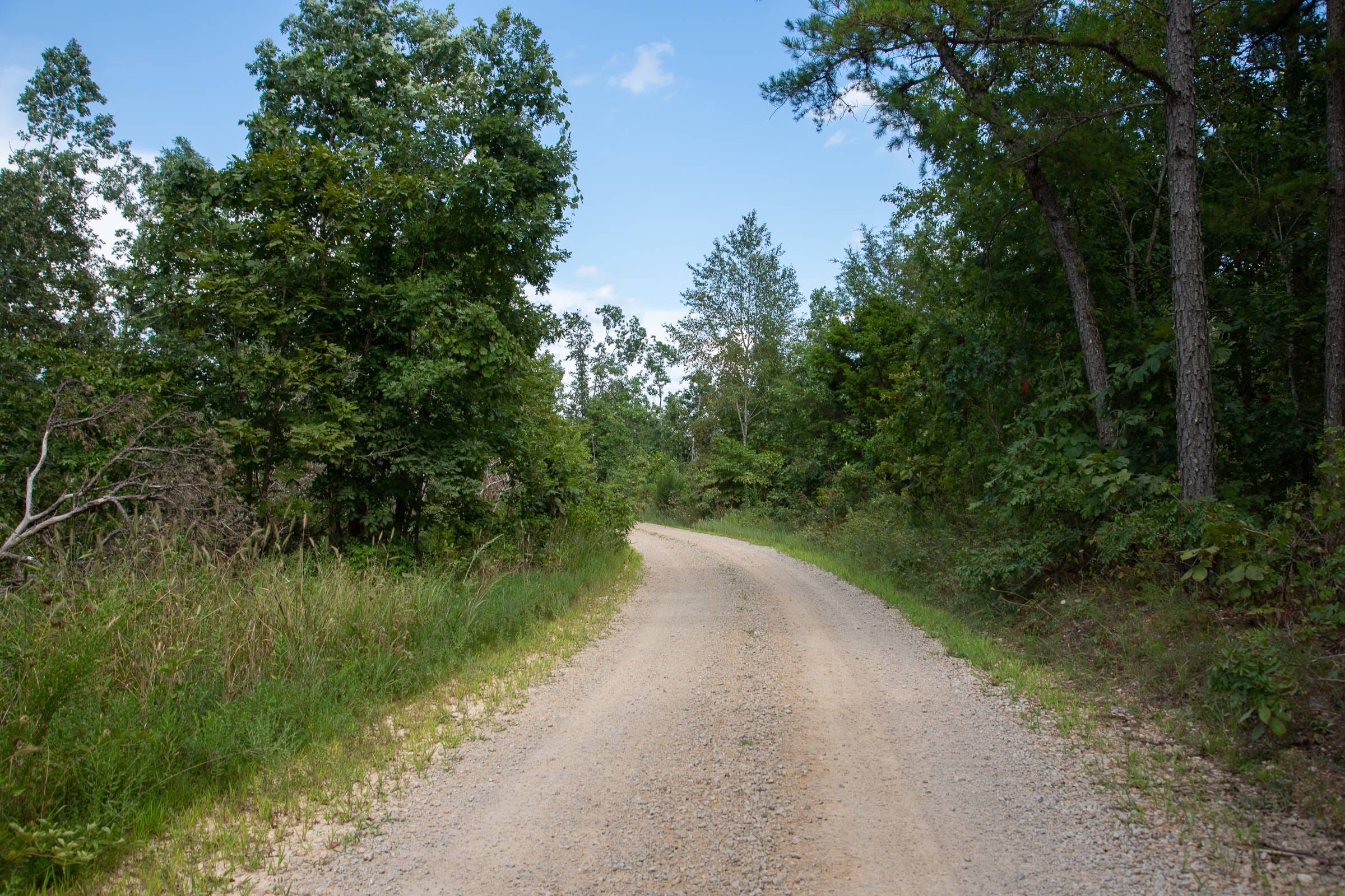 Borgmann’s Hollow Phase I Tract 22 photo 6