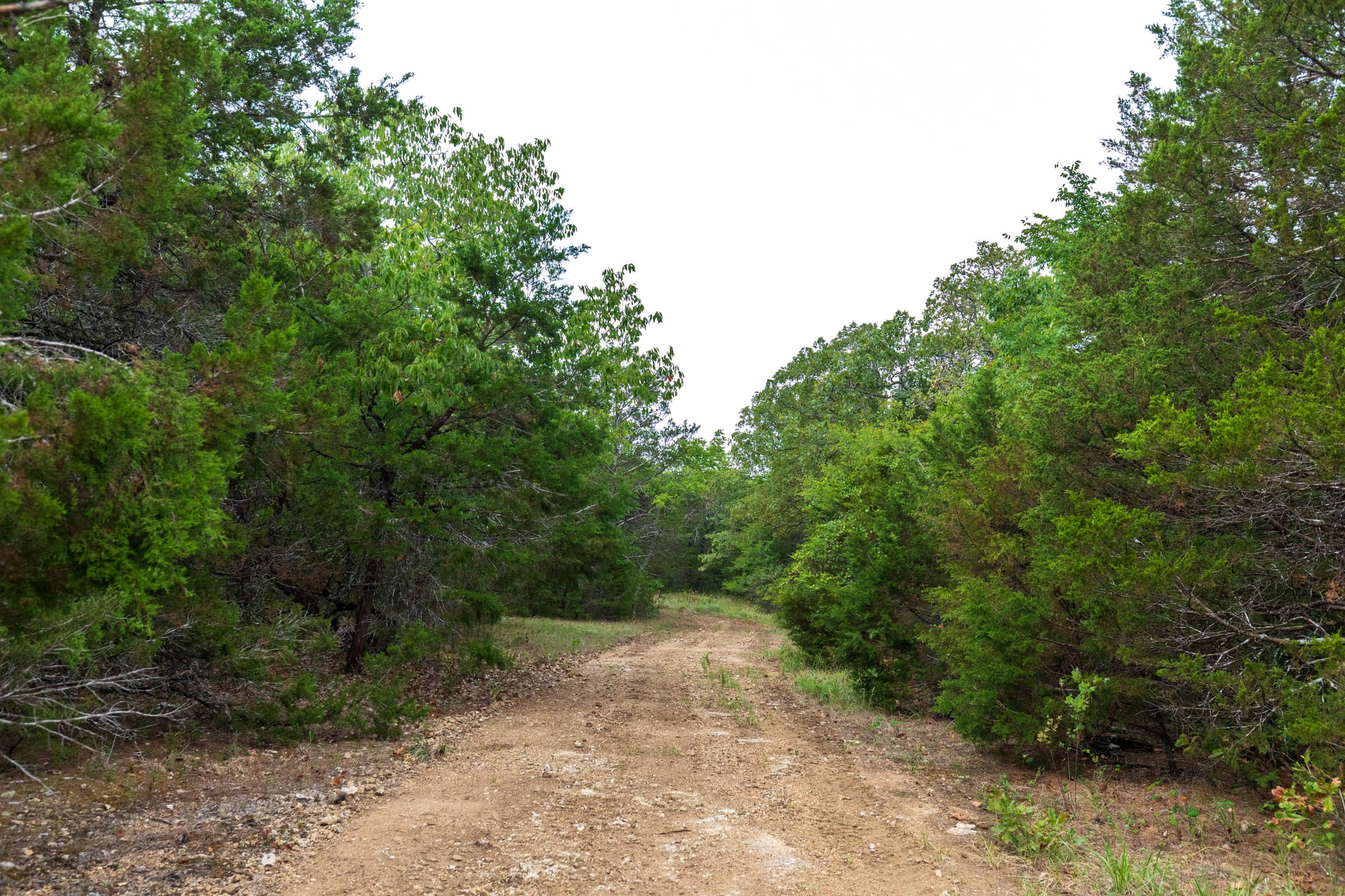 Heritage Bend Tract 20 photo 7