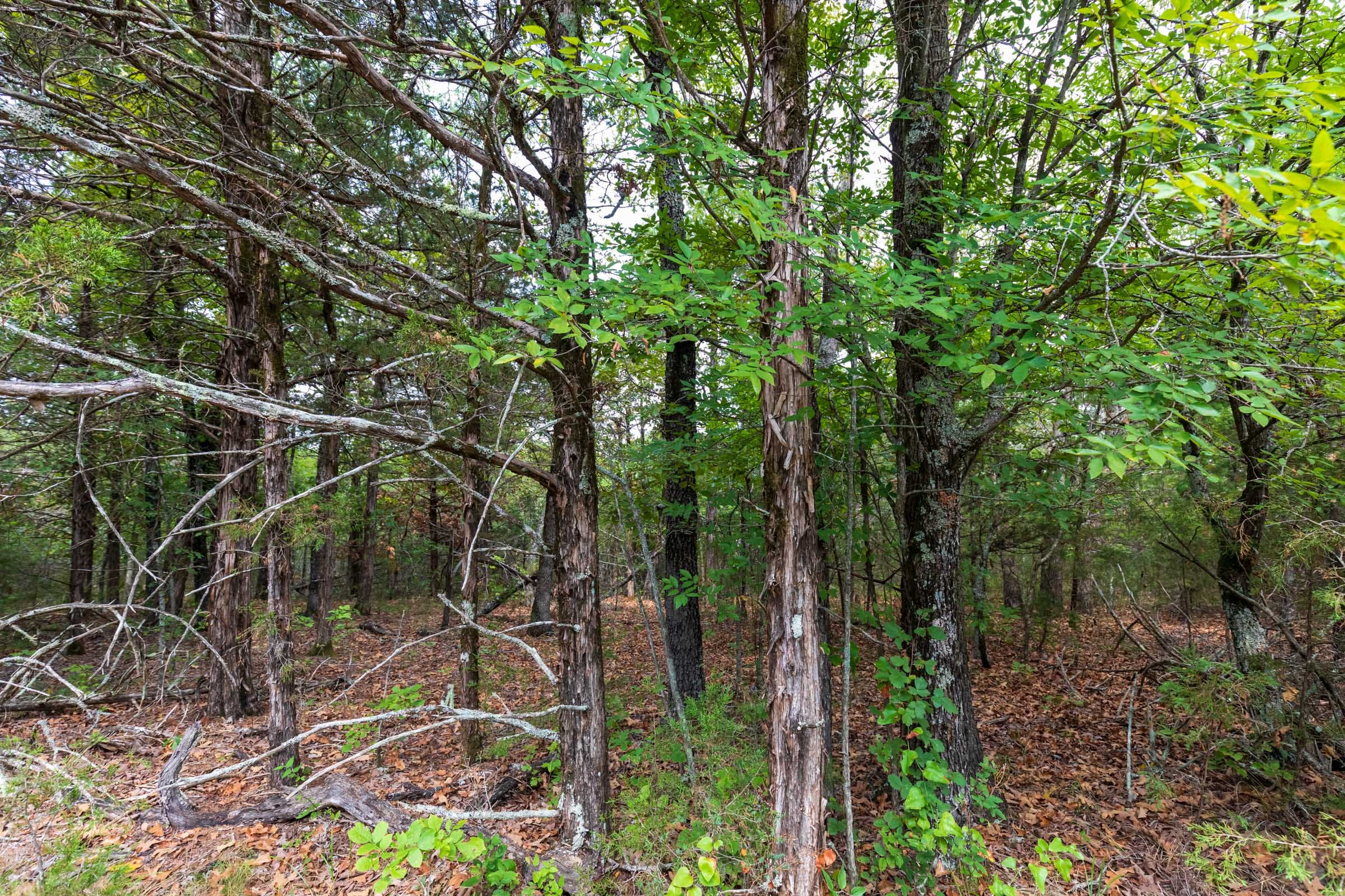 Heritage Bend Tract 20 photo 2