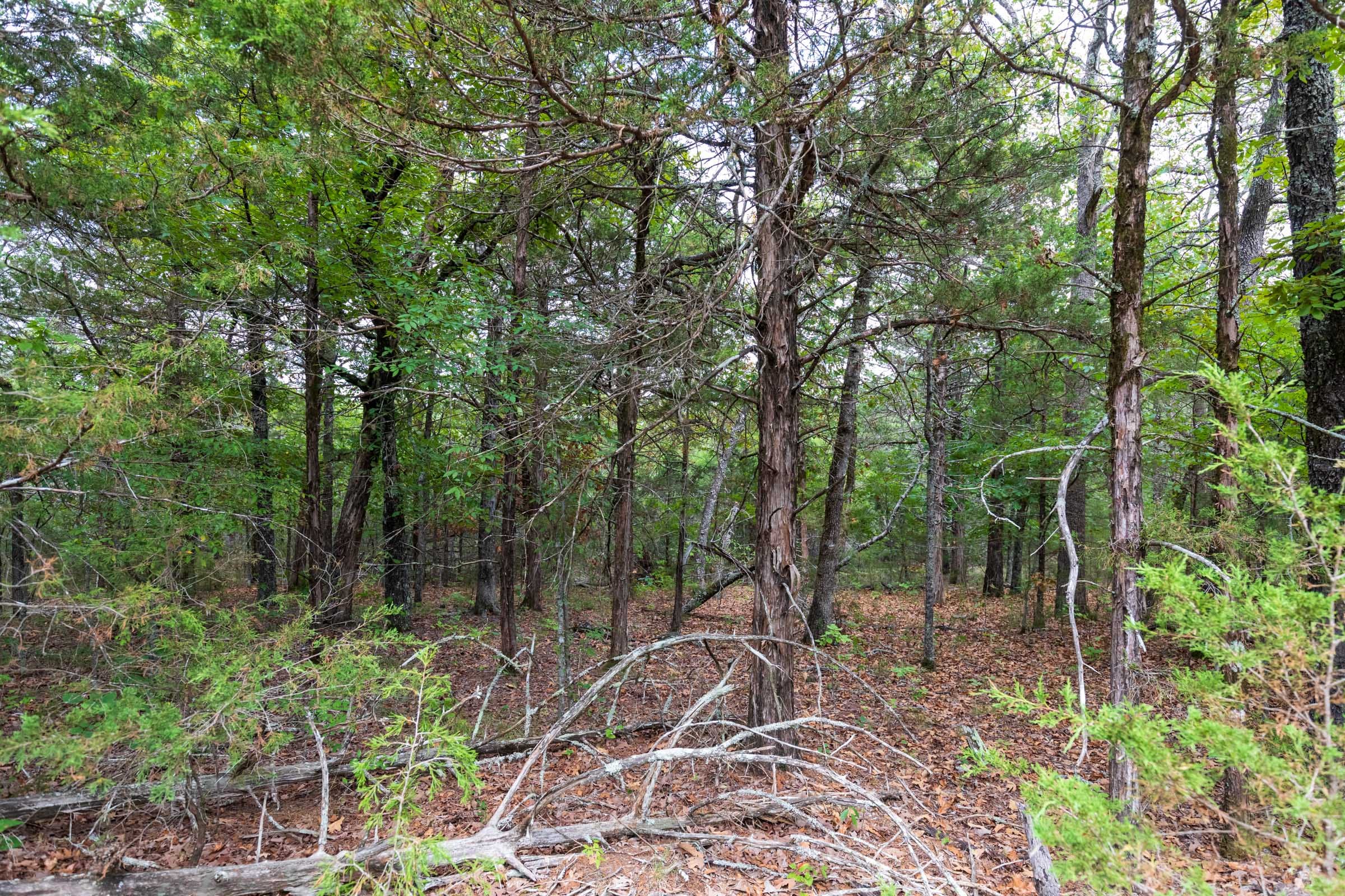 Heritage Bend Tract 20 photo 3