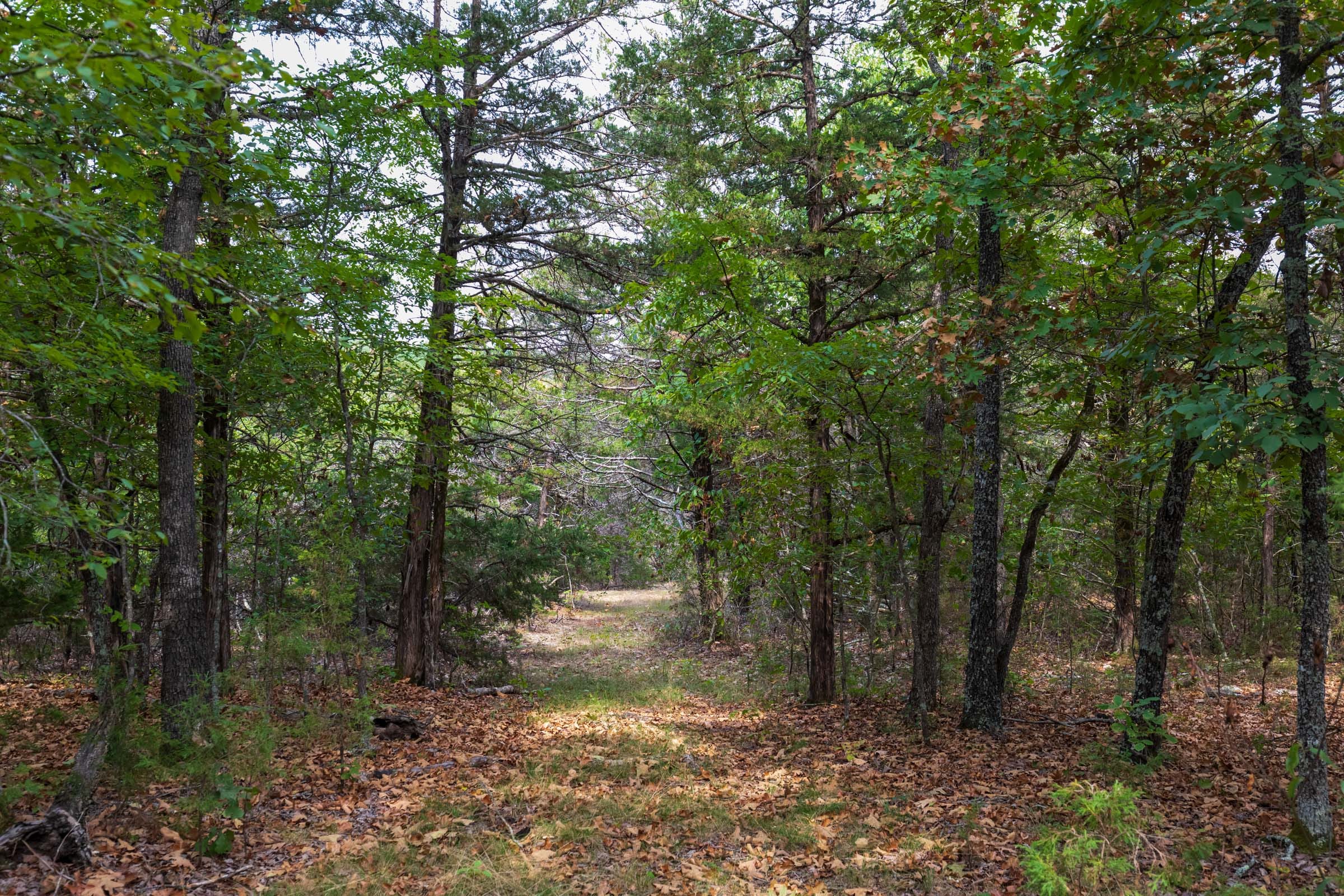 Heritage Bend Tract 20 photo 1