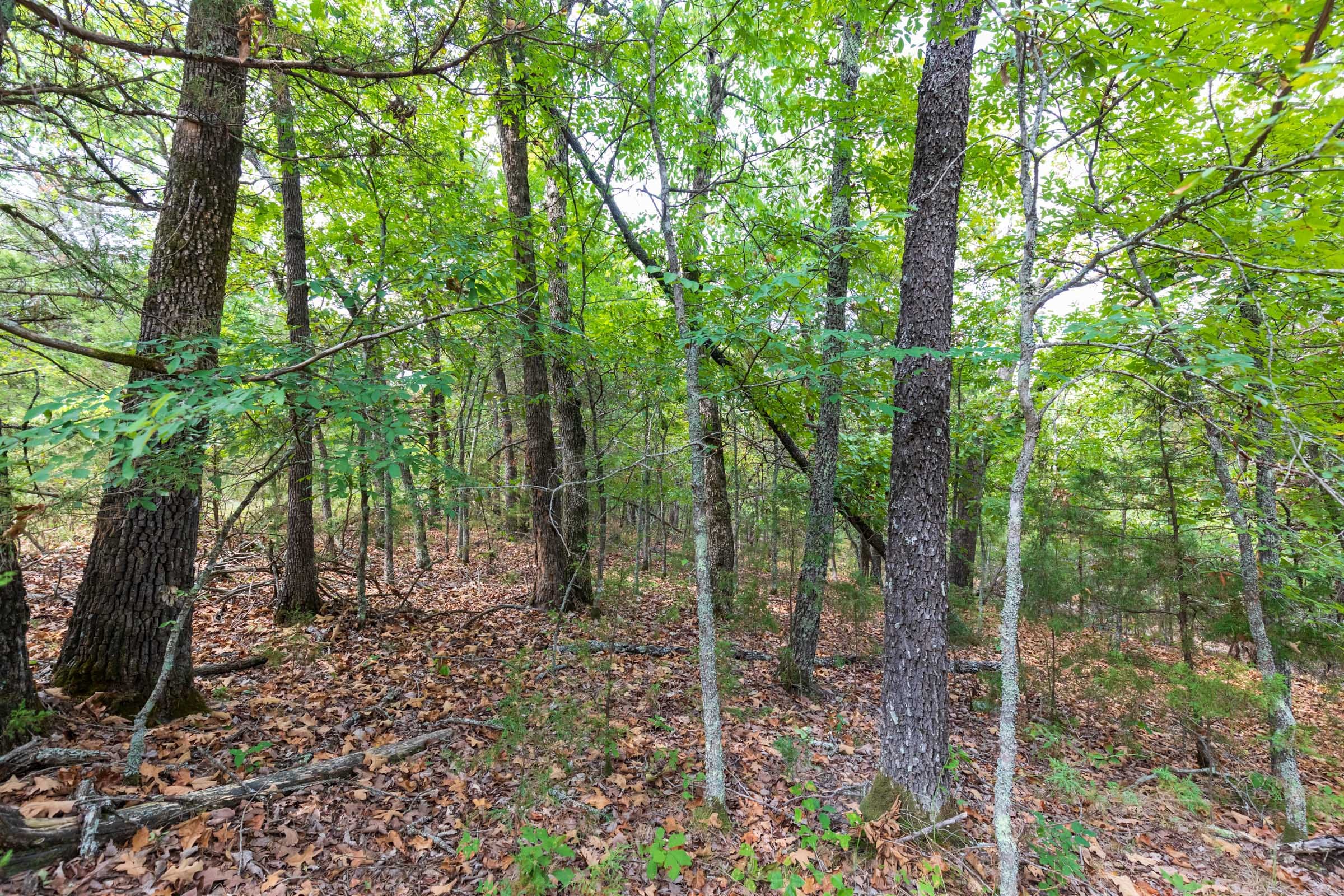Heritage Bend Tract 20 photo 6