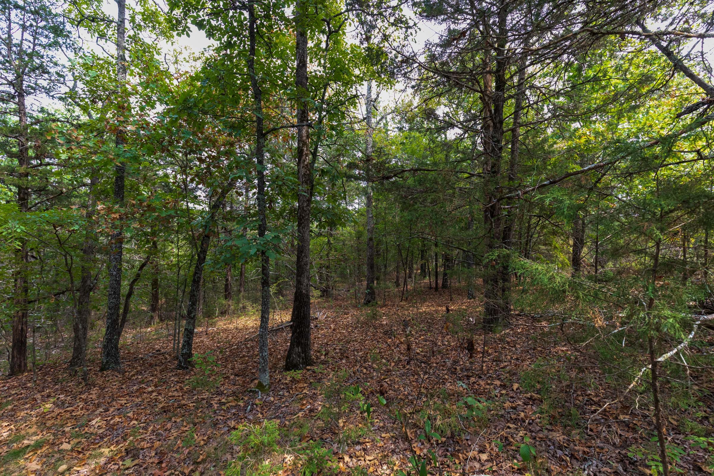 Heritage Bend Tract 20 photo 8