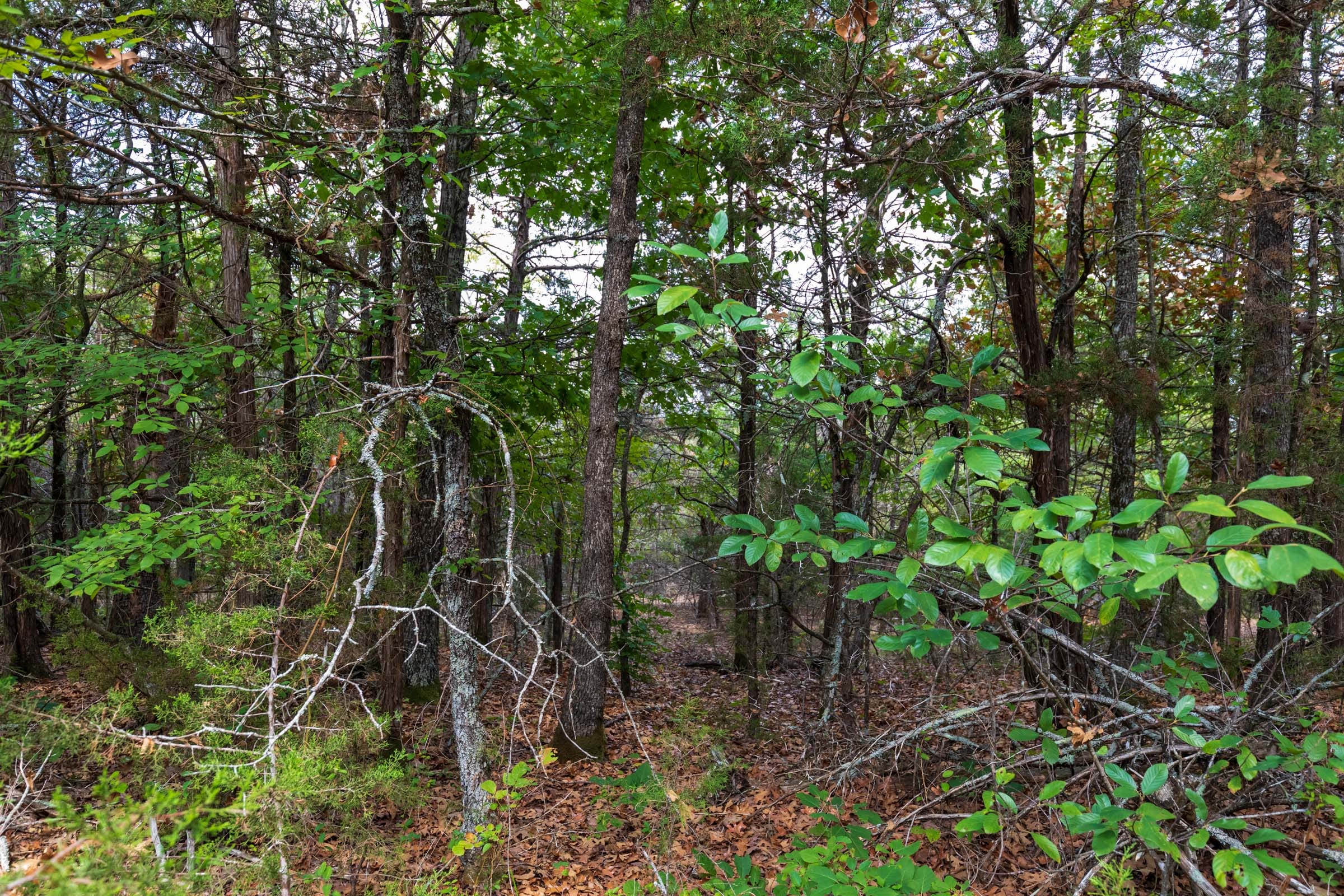 Heritage Bend Tract 20 photo 9