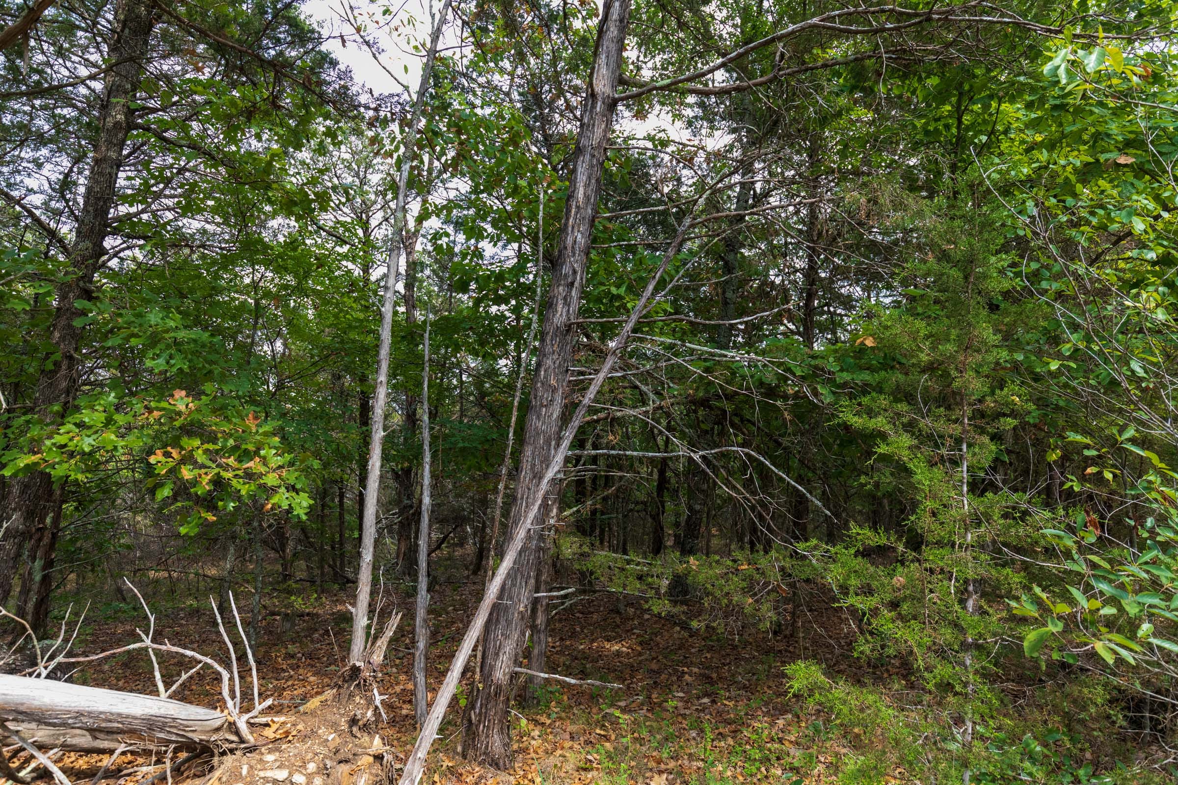 Heritage Bend Tract 20 photo 11