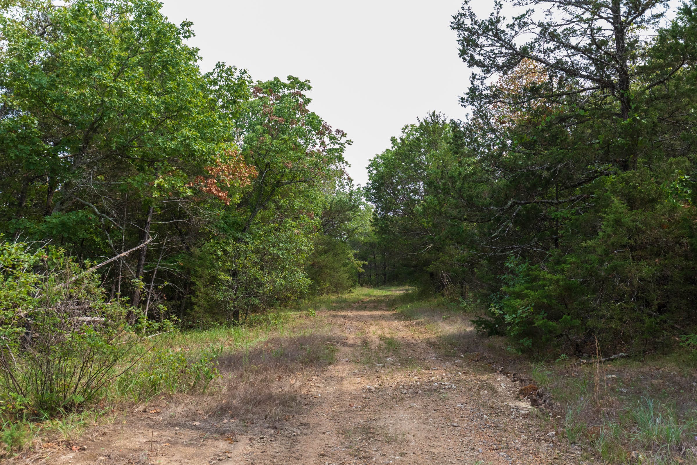 Heritage Bend Tract 20 photo 10