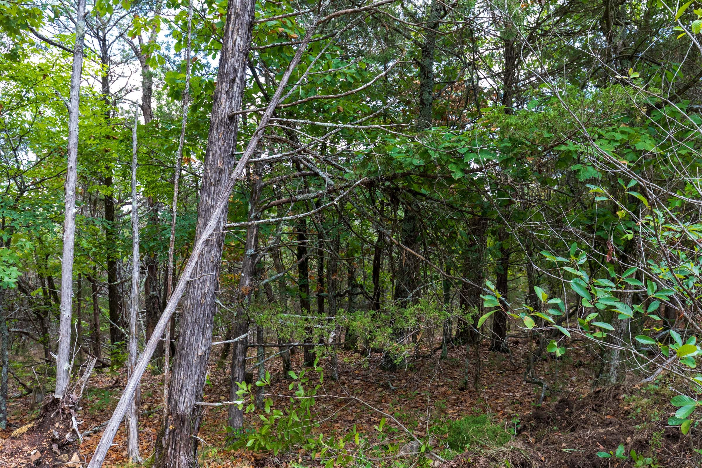 Heritage Bend Tract 20 photo 17
