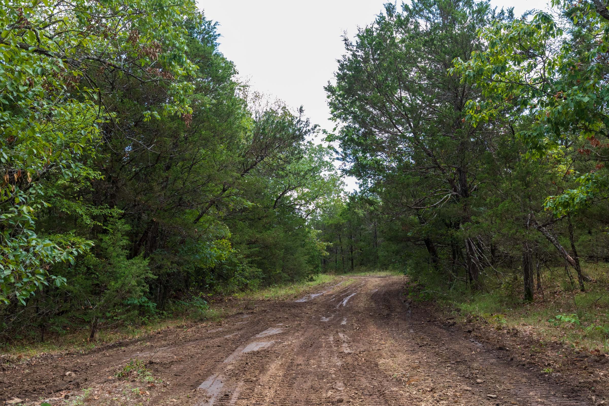 Heritage Bend Tract 20 photo 16