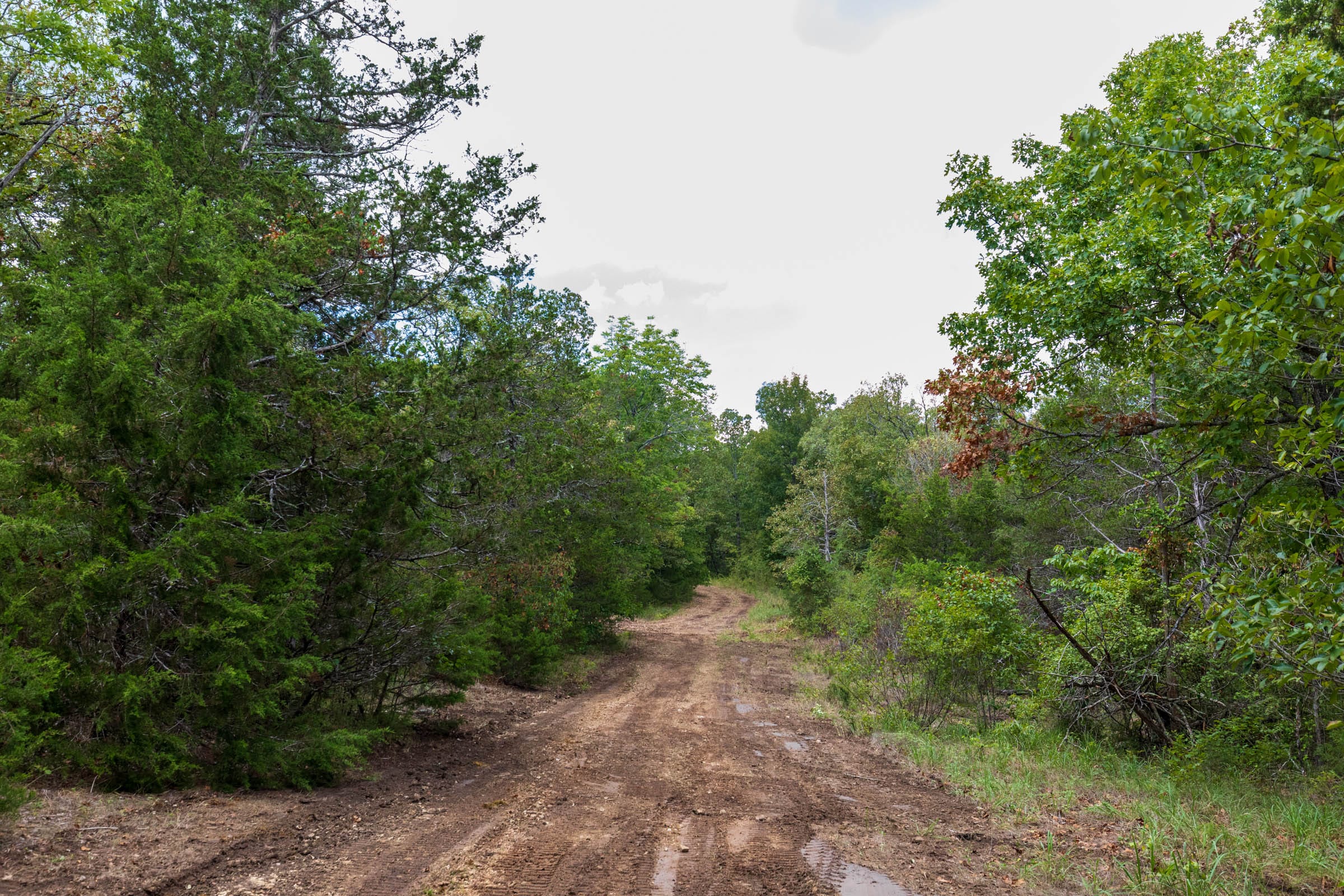 Heritage Bend Tract 20 photo 13