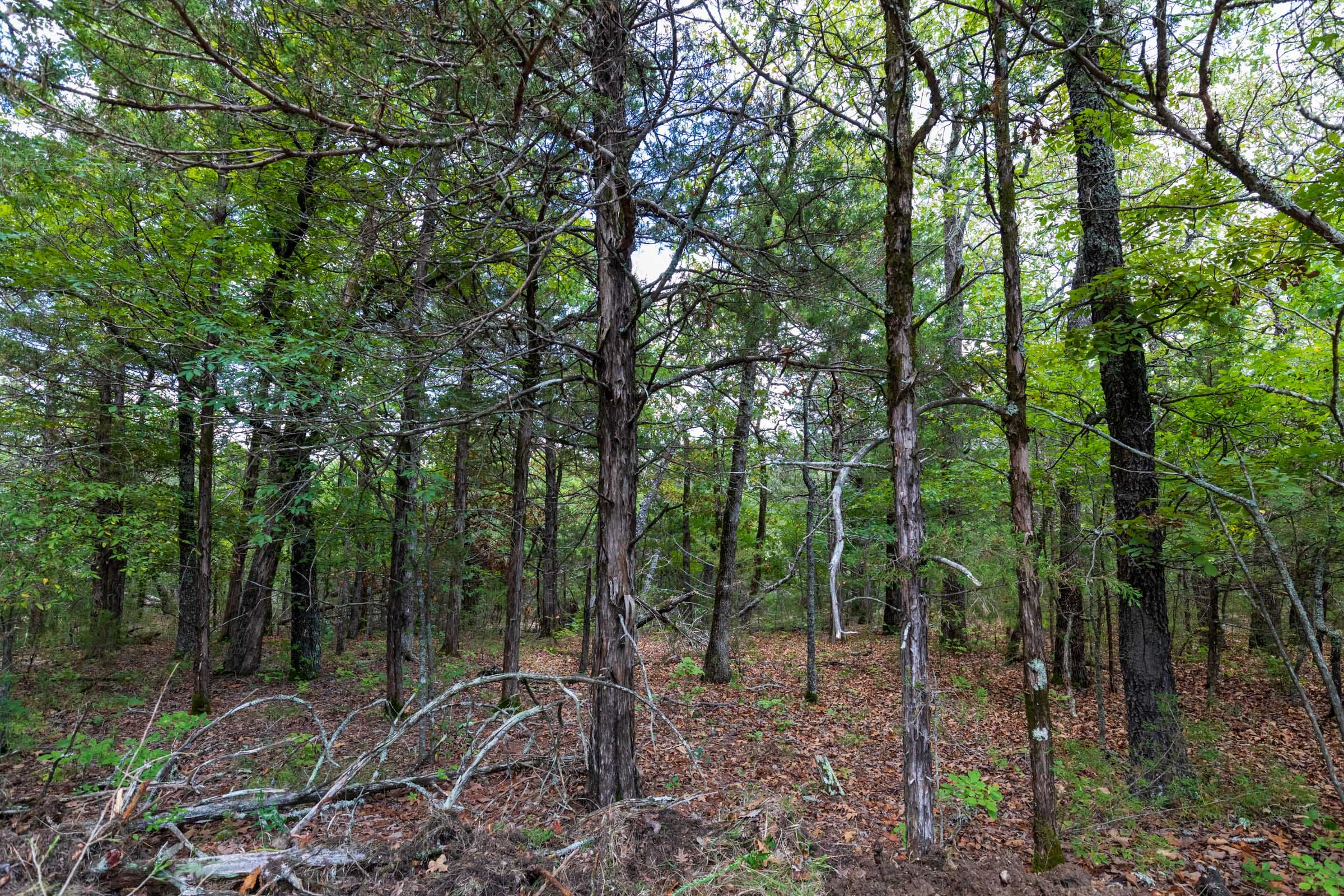 Heritage Bend Tract 20 photo 21