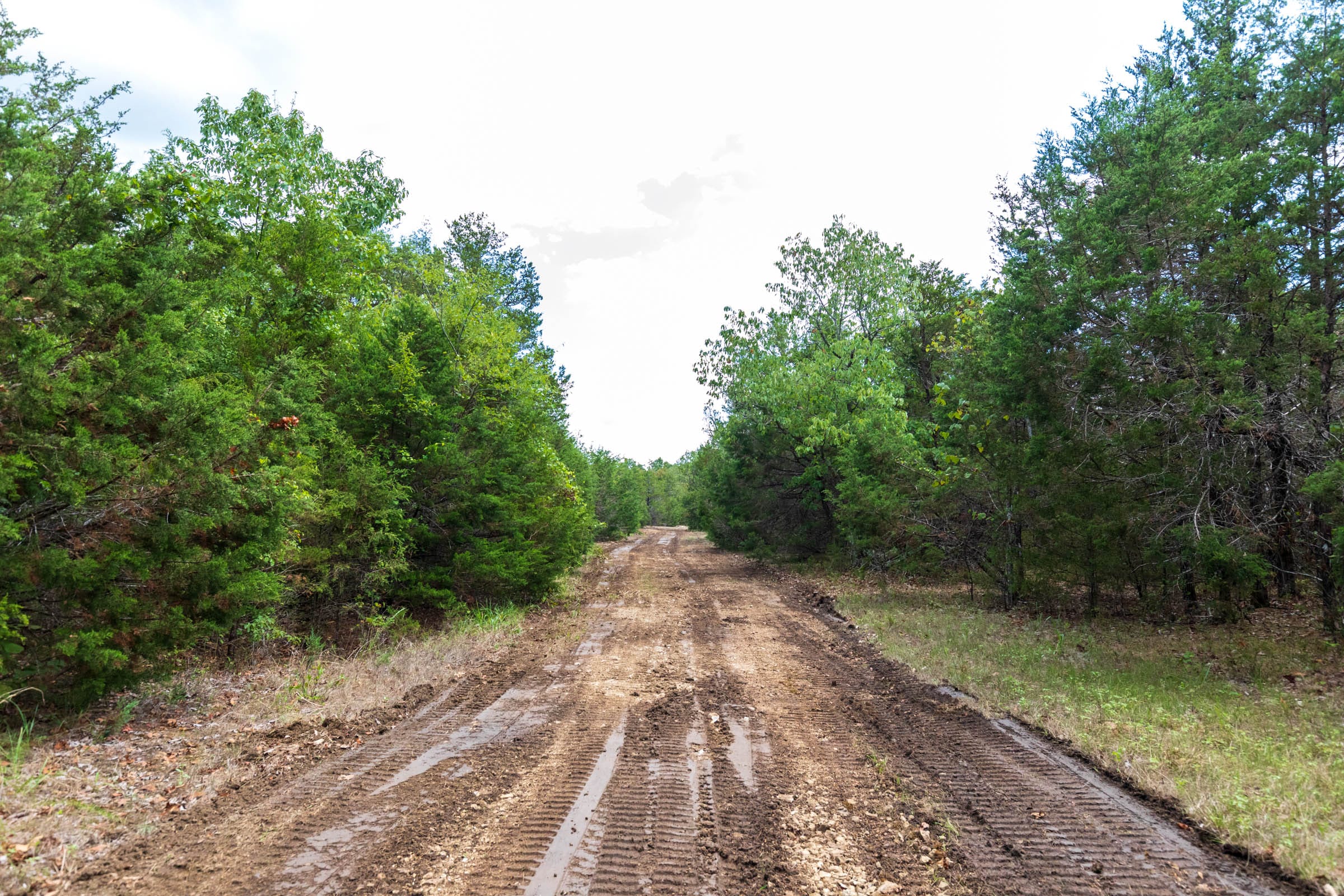 Heritage Bend Tract 20 photo 19
