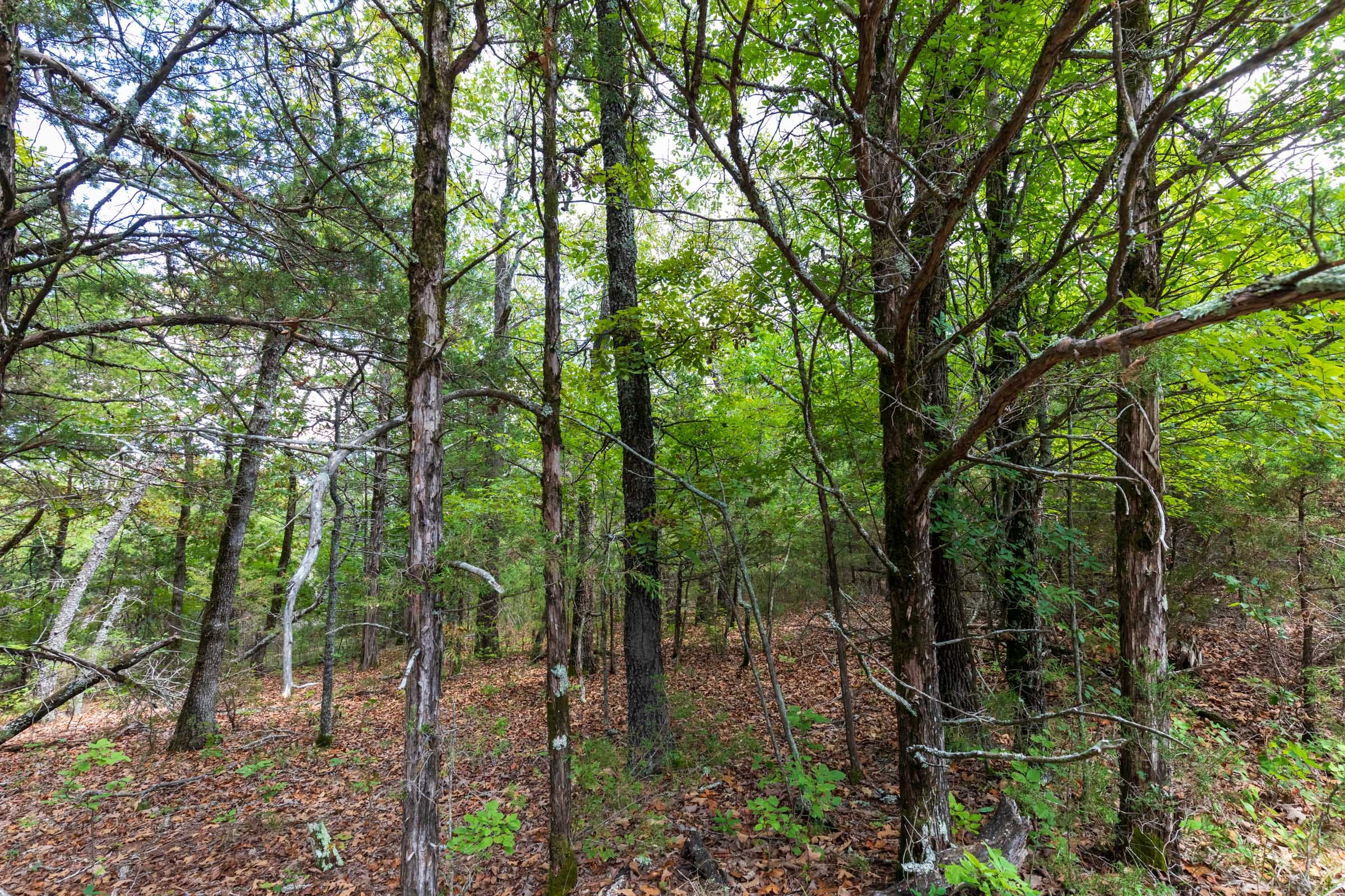Heritage Bend Tract 20 photo 23