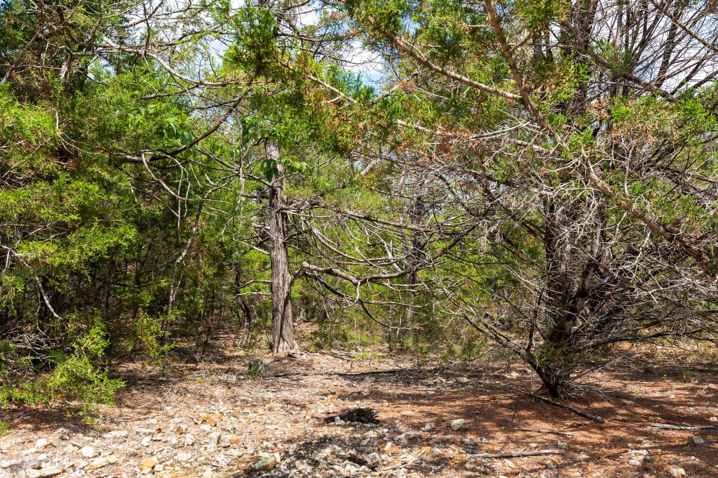 Heritage Bend Tract 20 photo 24