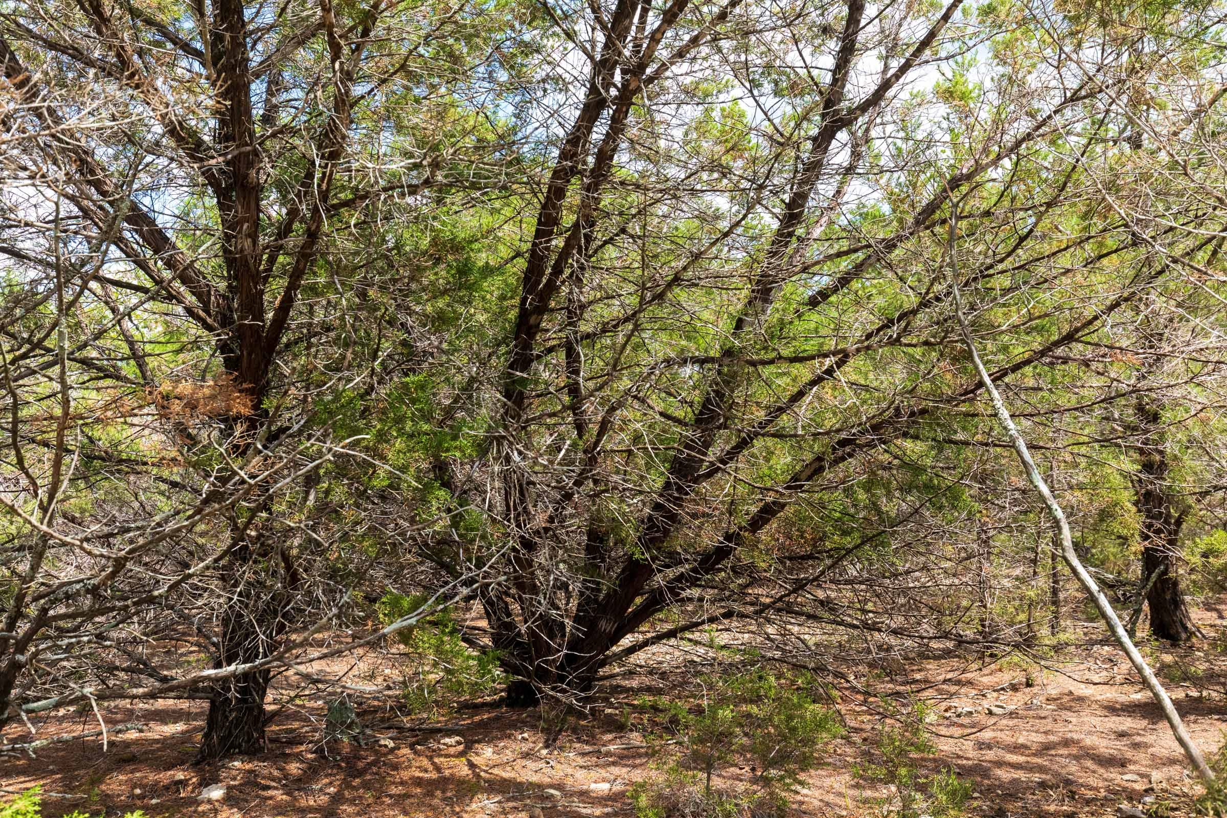 Heritage Bend Tract 20 photo 26