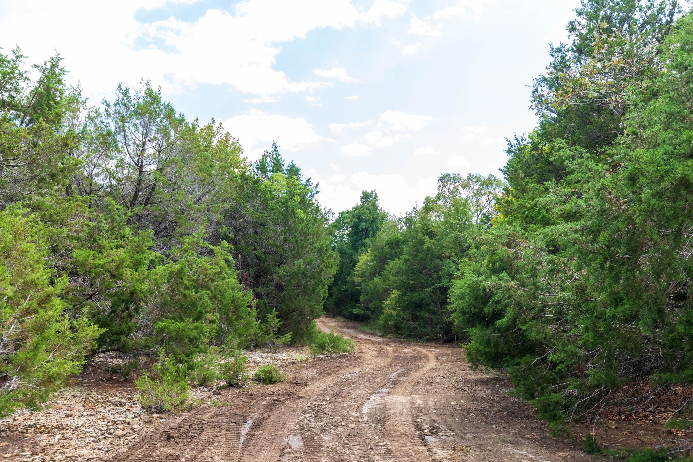 Heritage Bend Tract 20 photo 25
