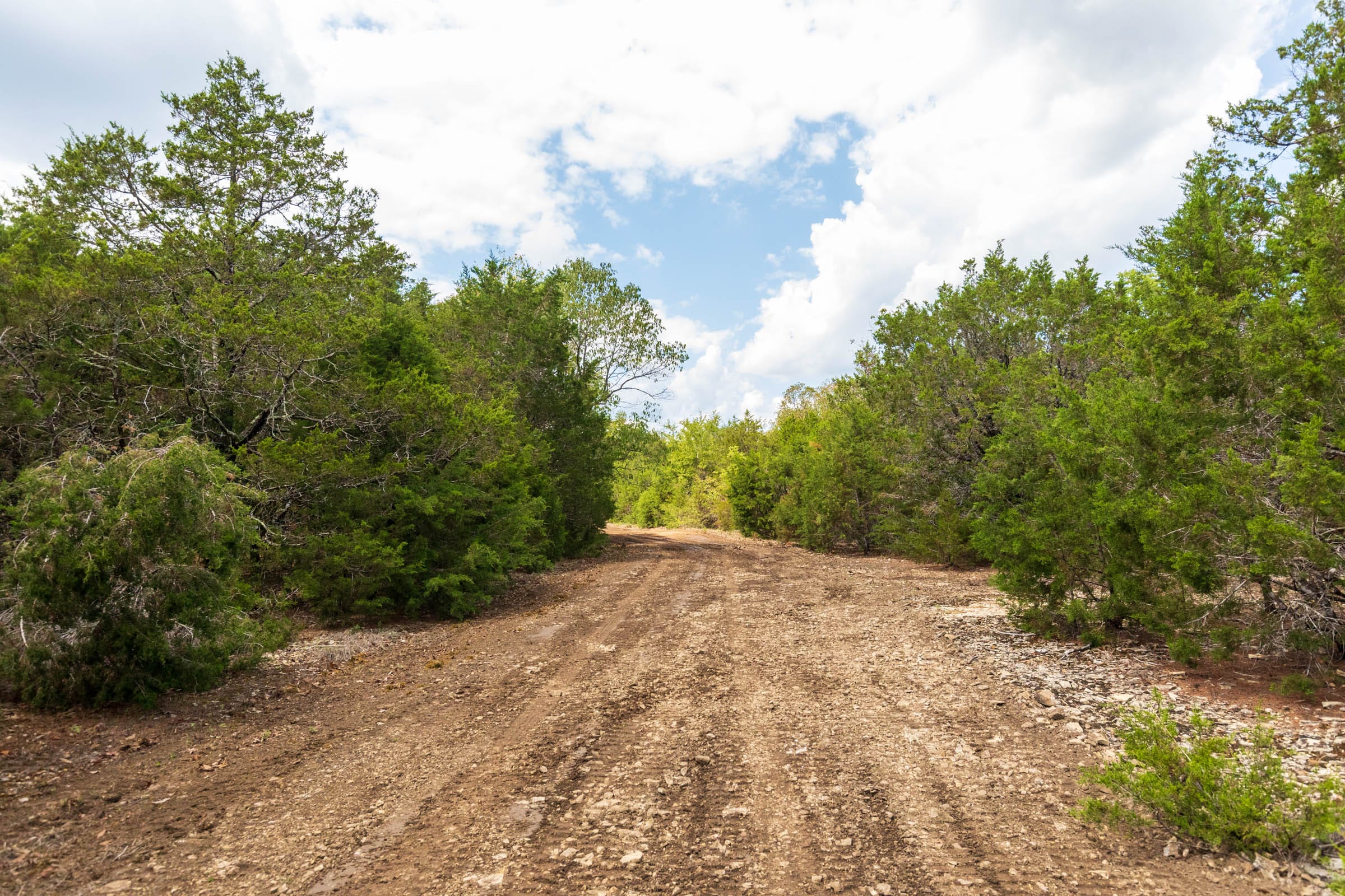 Heritage Bend Tract 20 photo 29