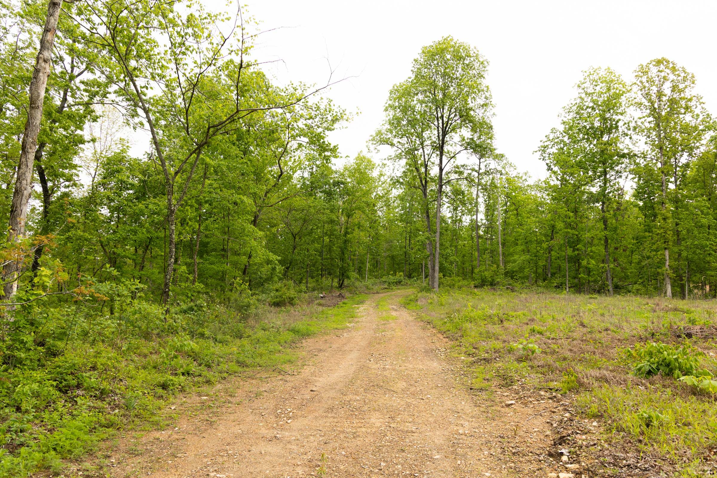 Stardust Estates Tract 34 photo 3