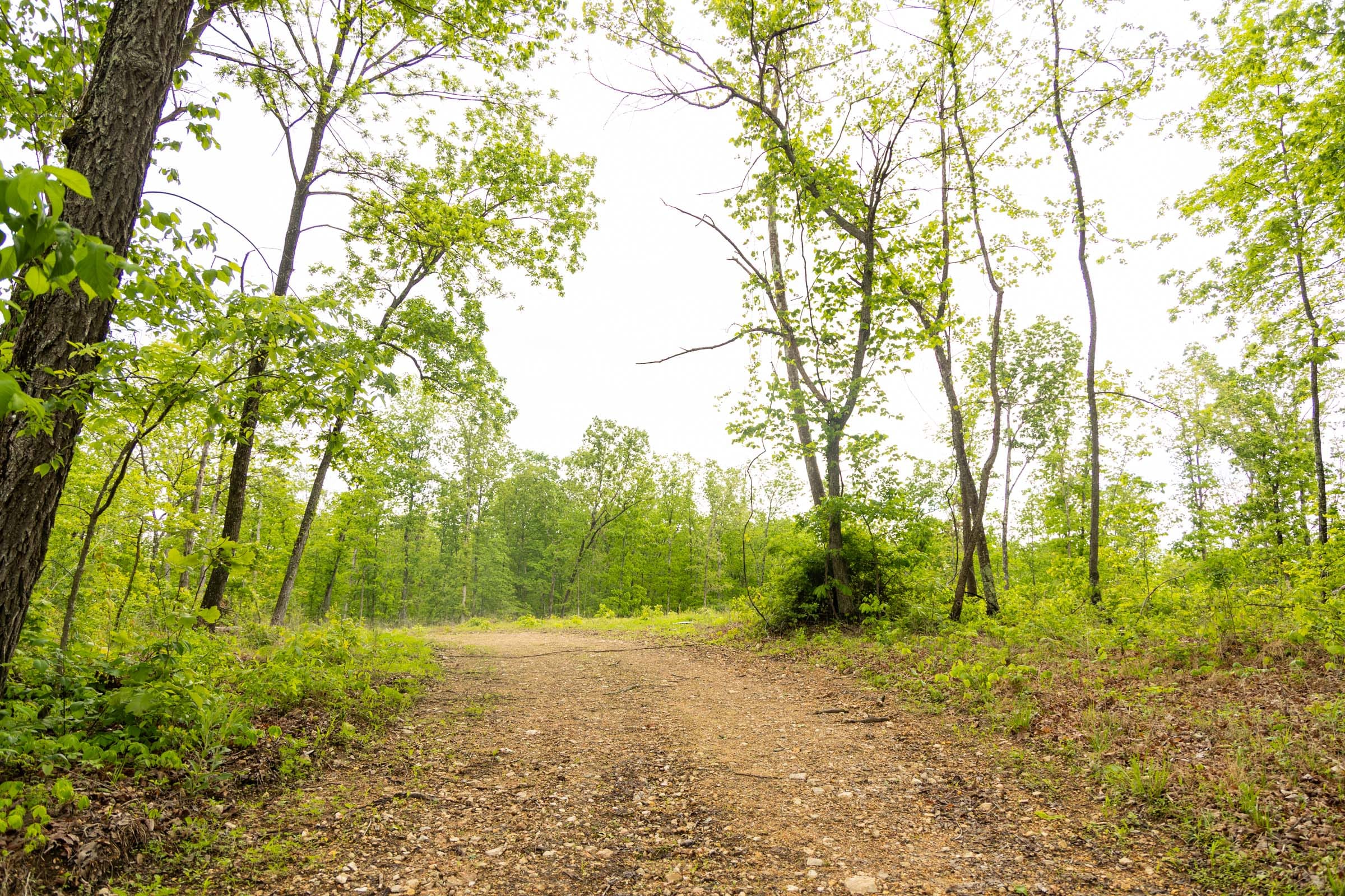 Stardust Estates Tract 34 photo 12