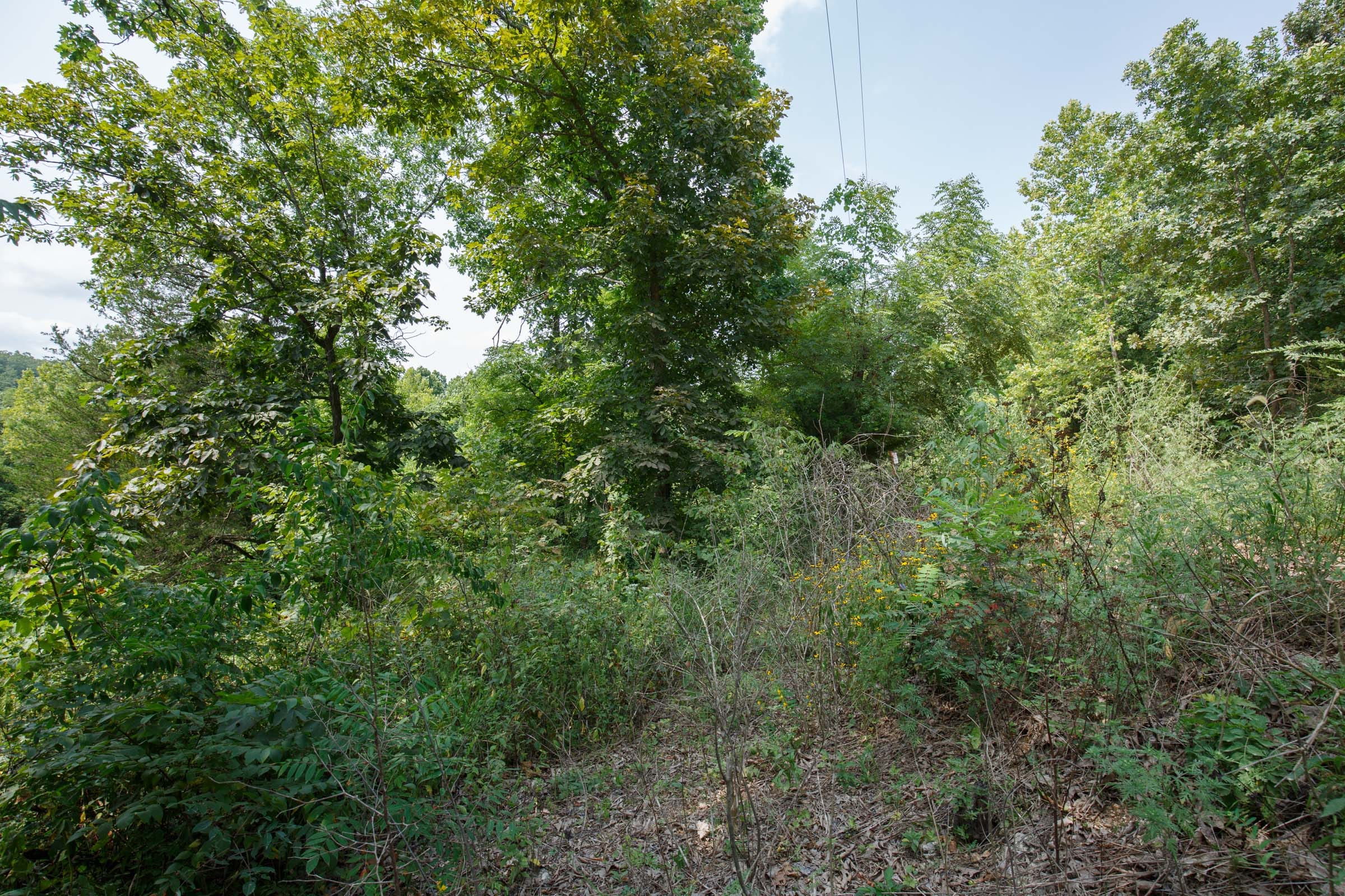 Spring Lake Plat 6 Tract 123 photo 2