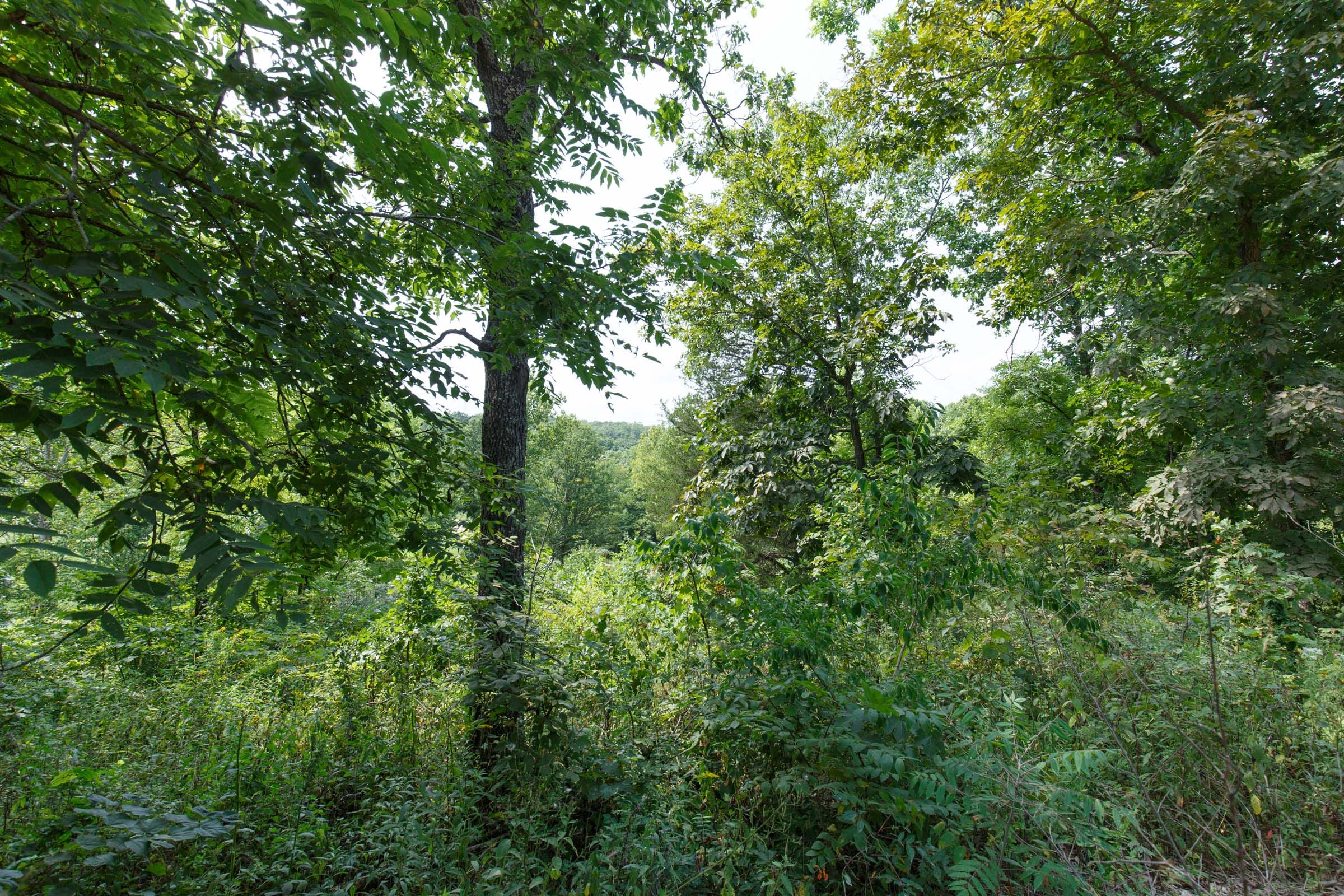 Spring Lake Plat 6 Tract 123 photo 4