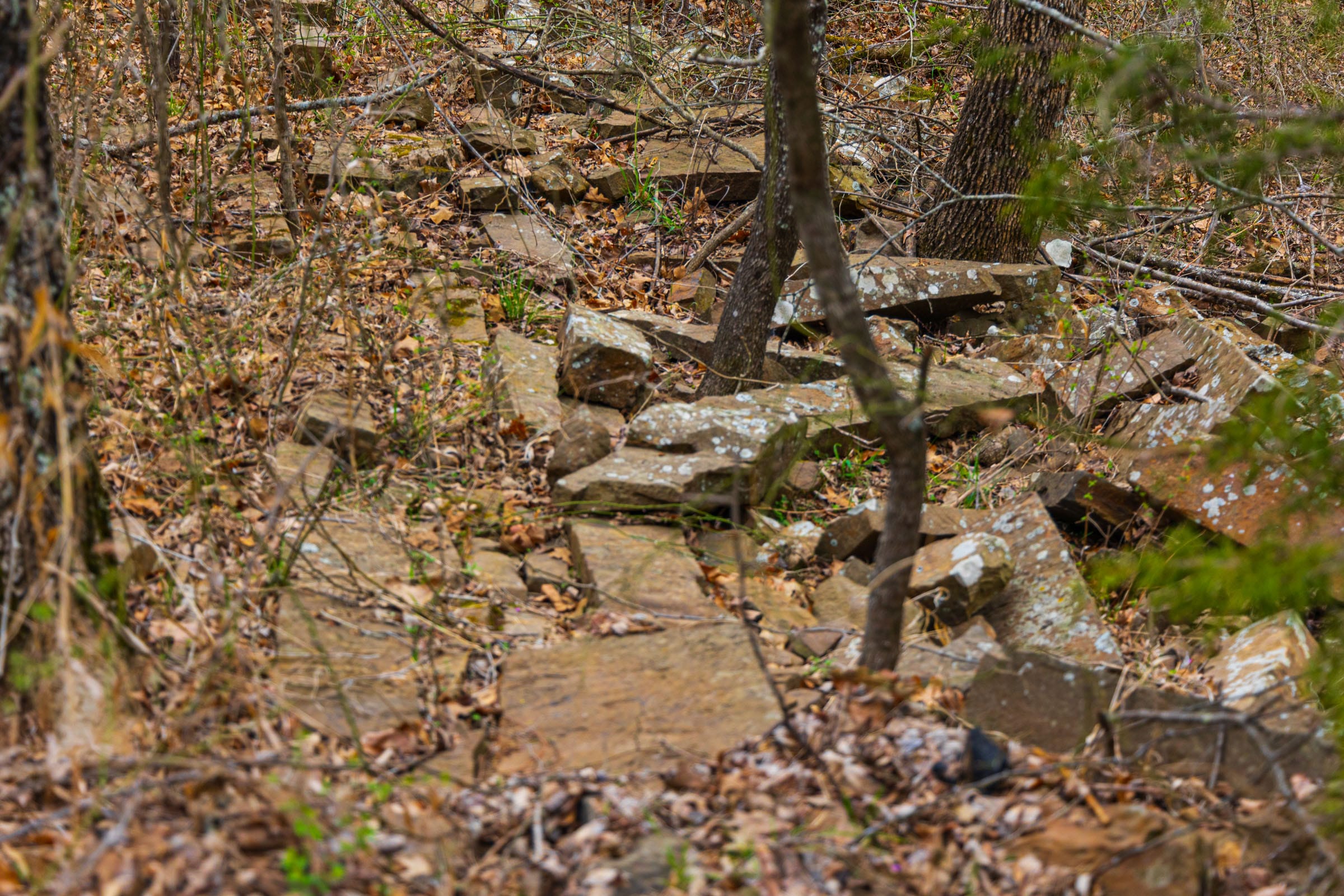 Reserves At Cattail Cove Phase I Tract 5 photo 12