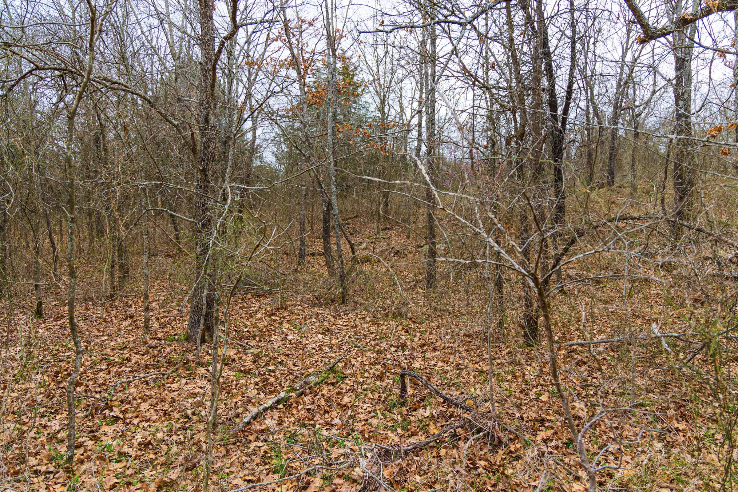 Reserves At Cattail Cove Phase I Tract 5 photo 13
