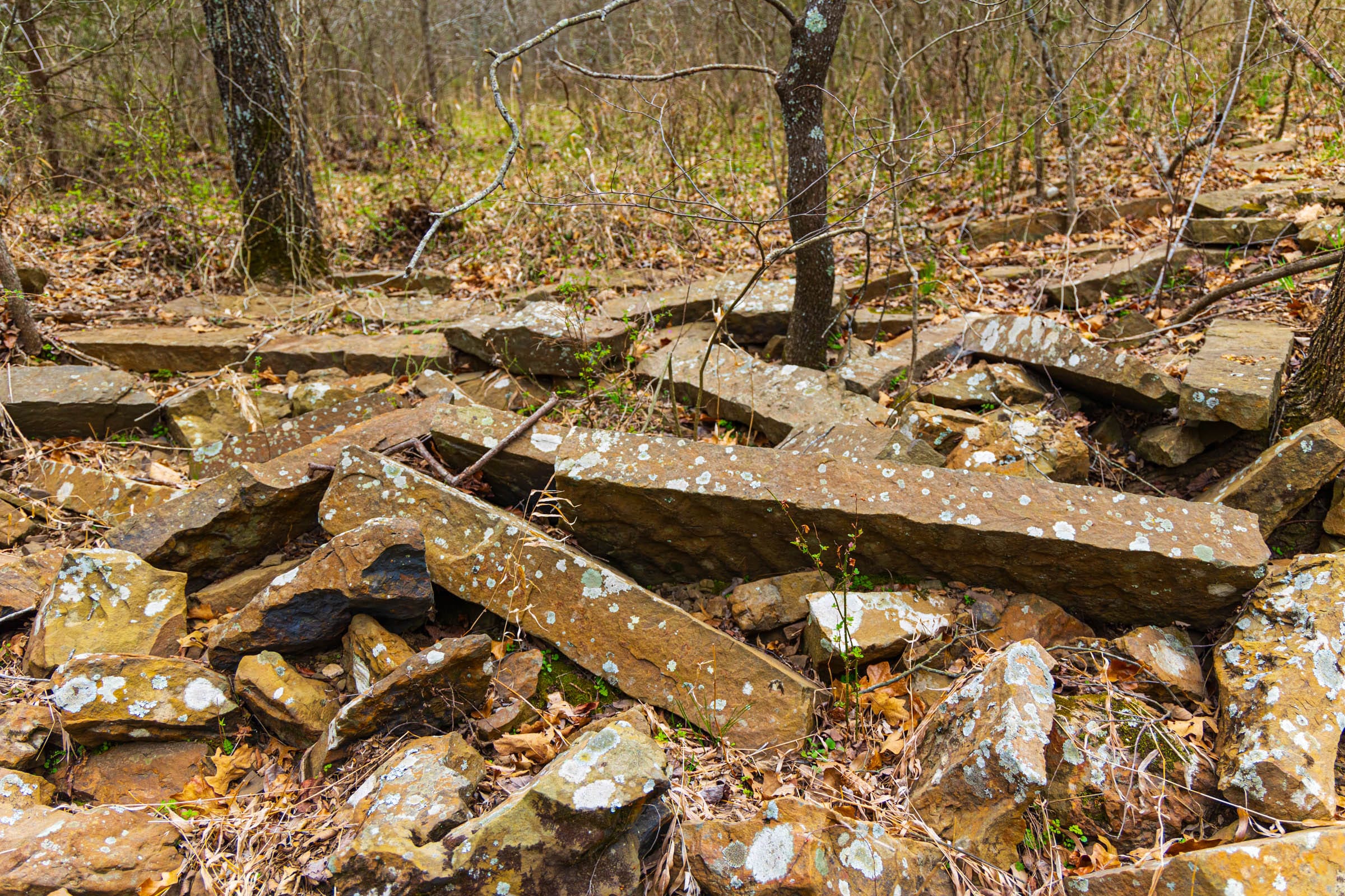 Reserves At Cattail Cove Phase I Tract 5 photo 9