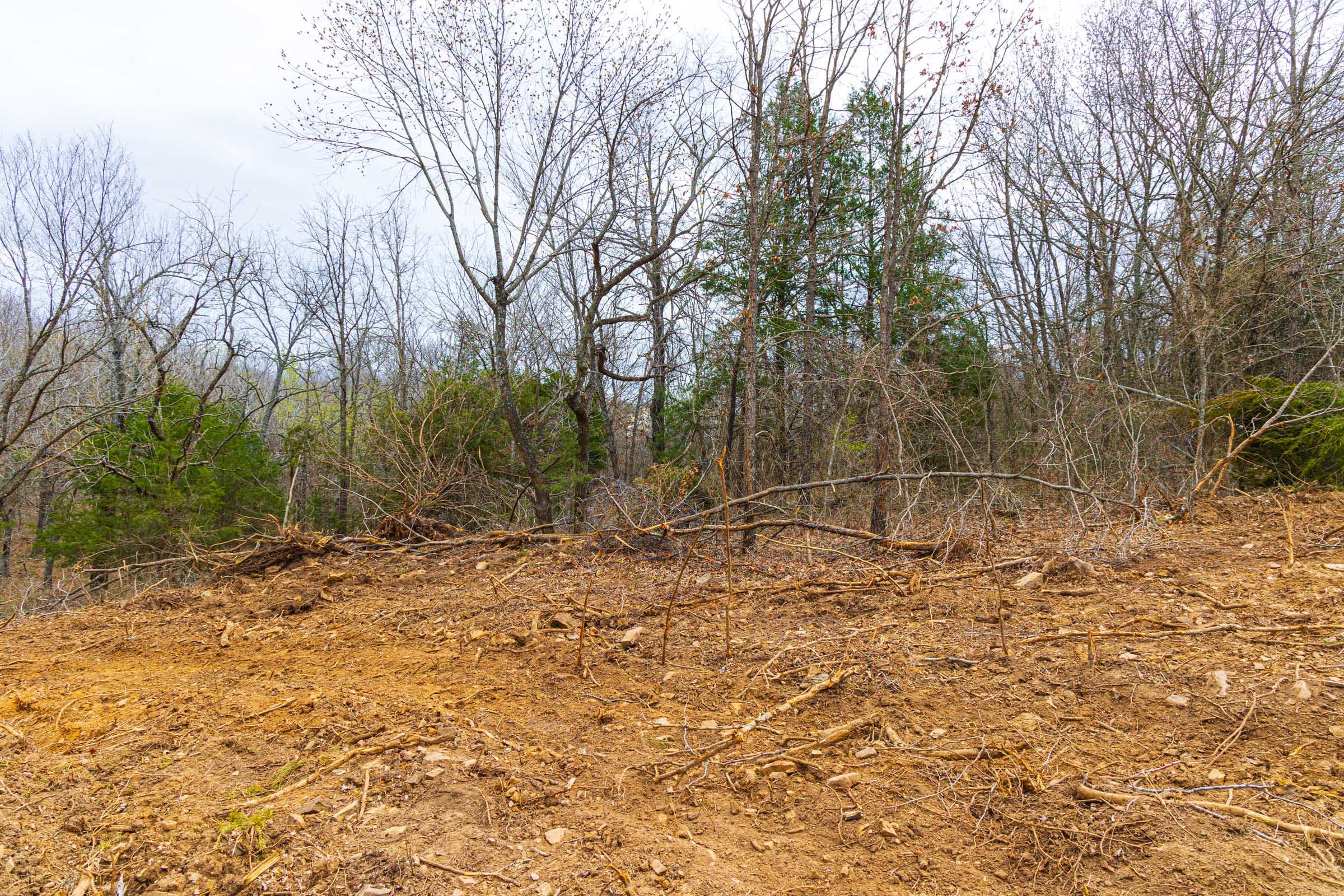 Reserves At Cattail Cove Phase I Tract 5 photo 10