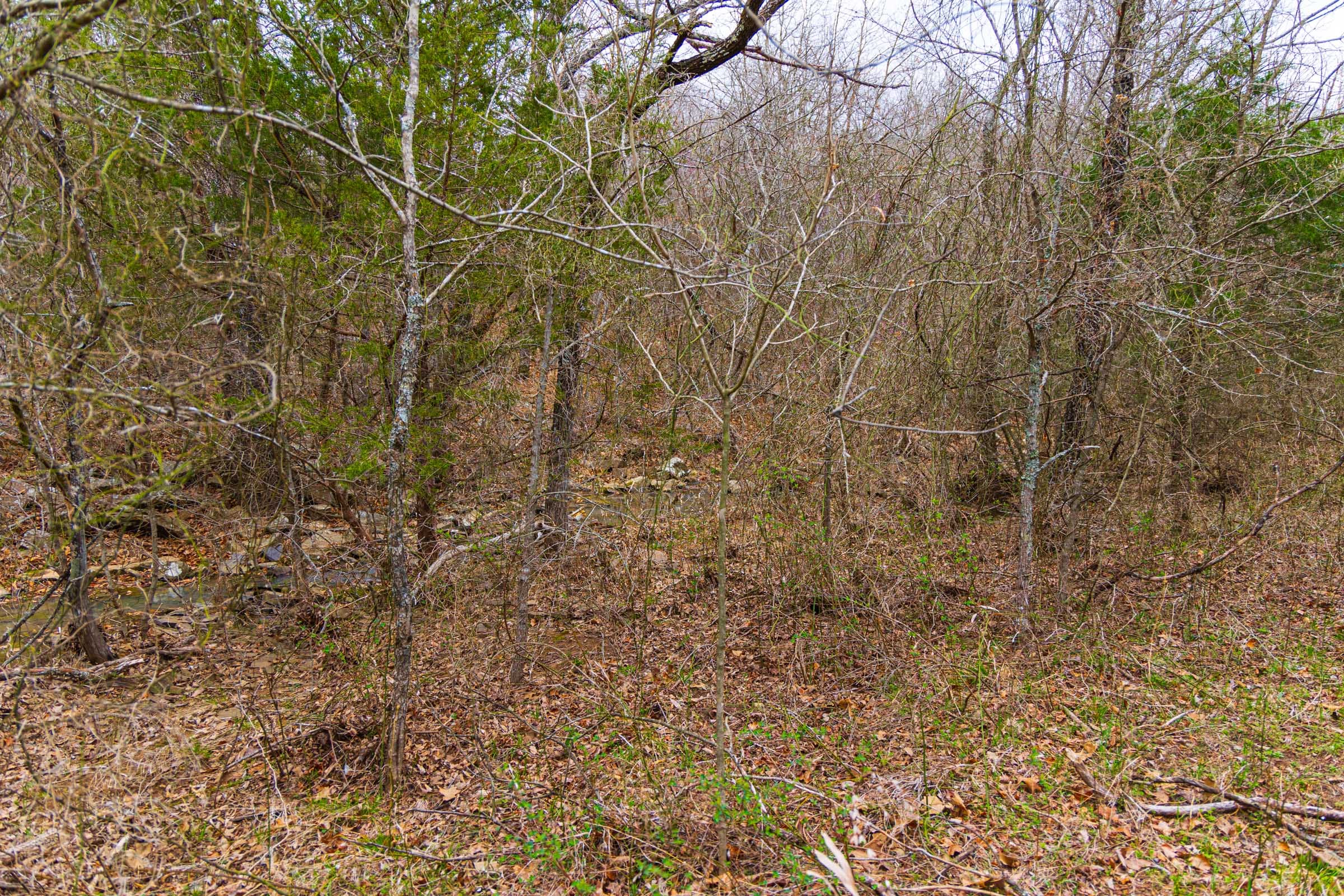 Reserves At Cattail Cove Phase I Tract 5 photo 8
