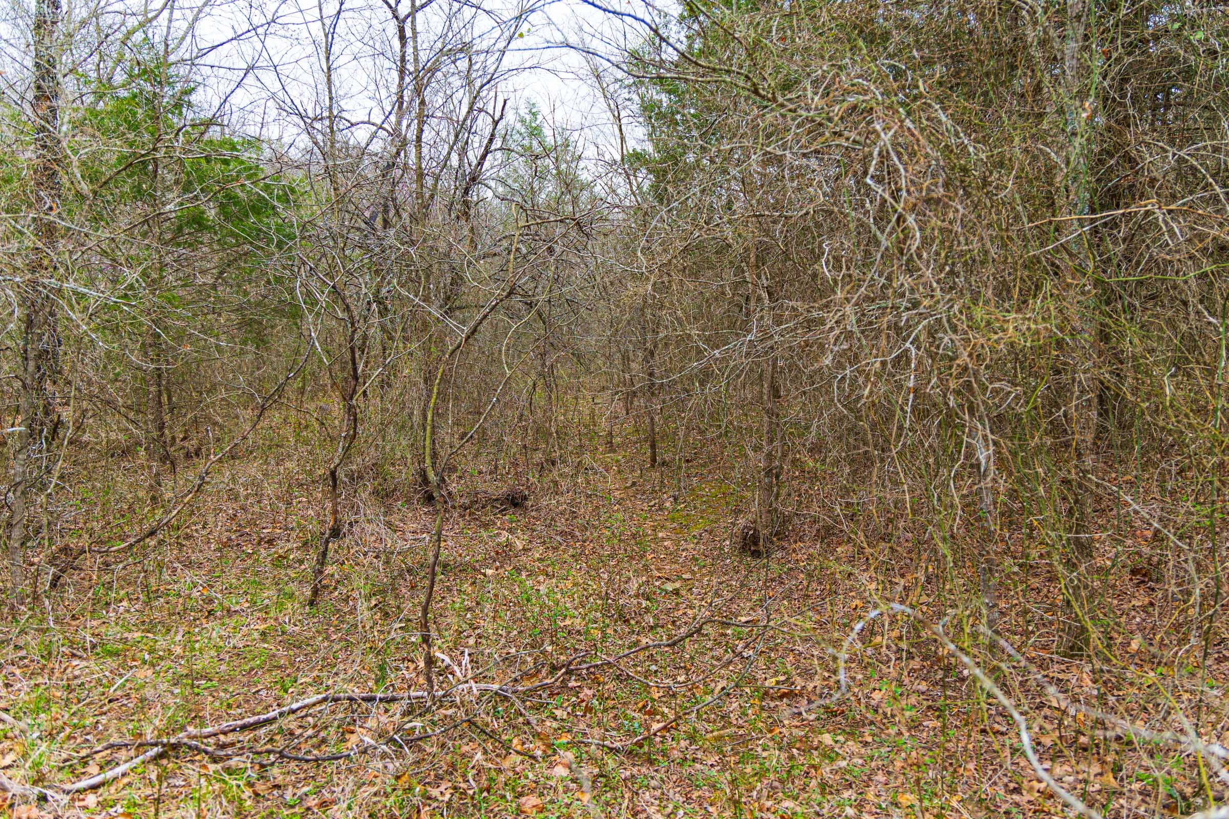 Reserves At Cattail Cove Phase I Tract 5 photo 5