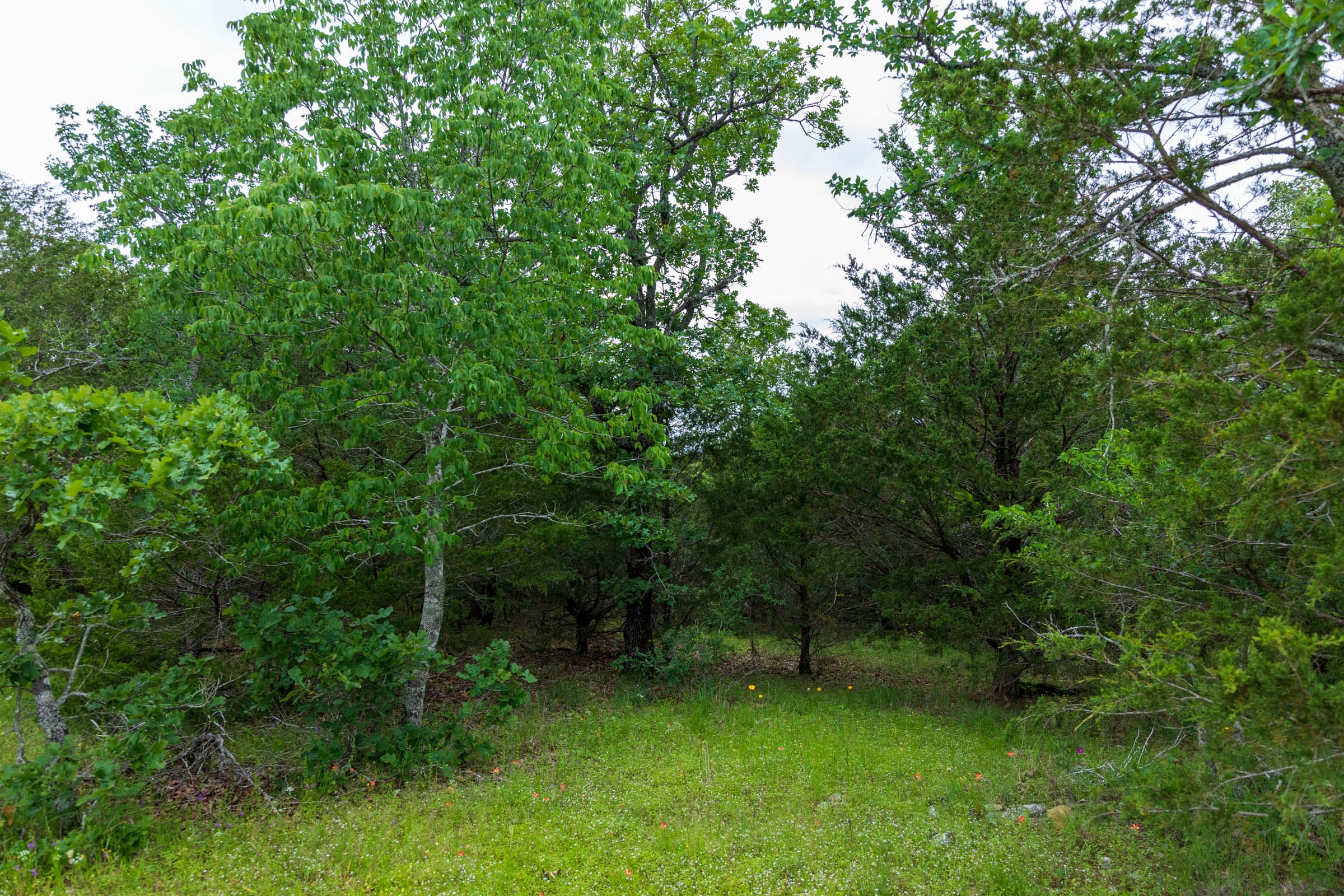 Falcon Crest Tract 31 photo 1