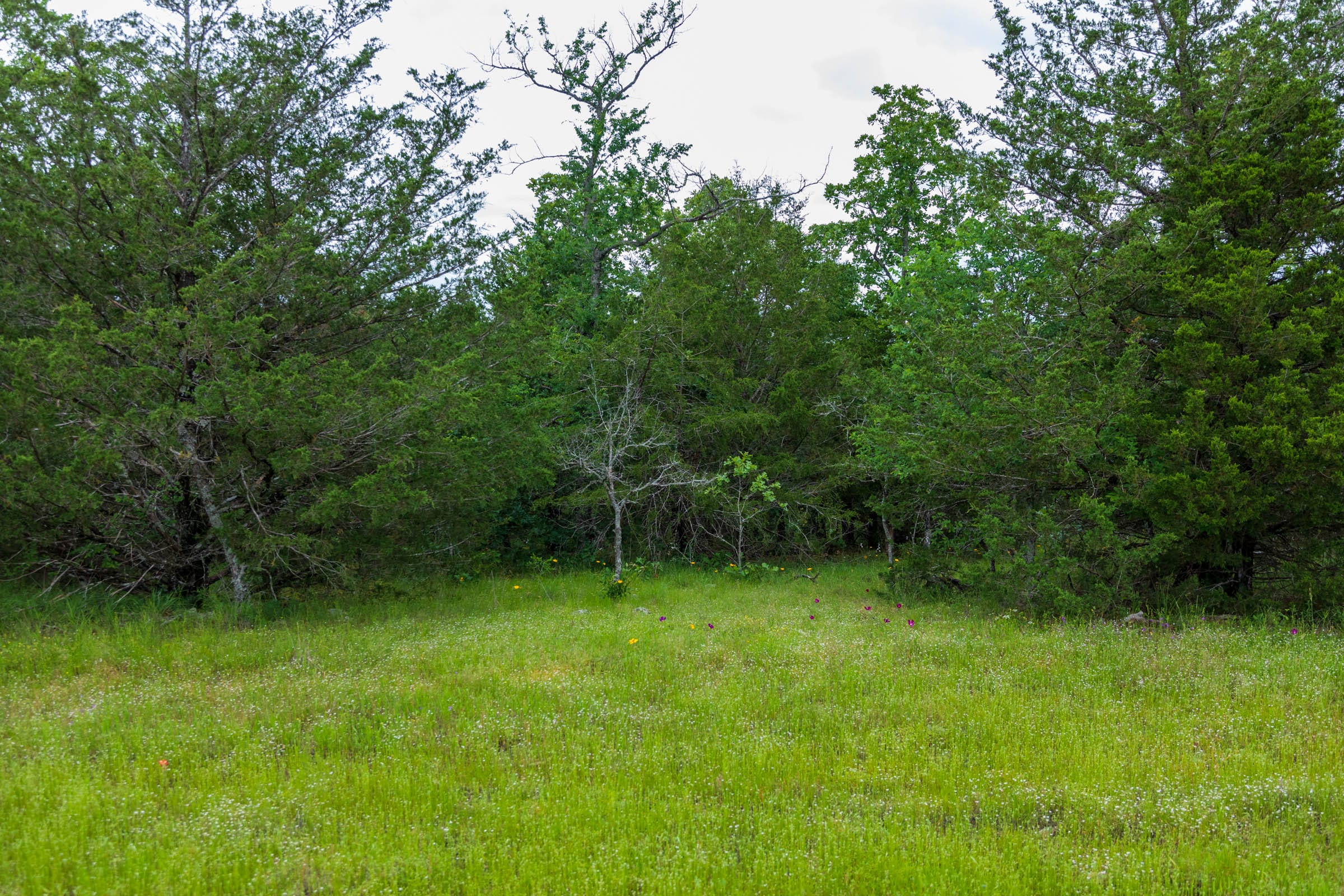 Falcon Crest Tract 31 photo 3