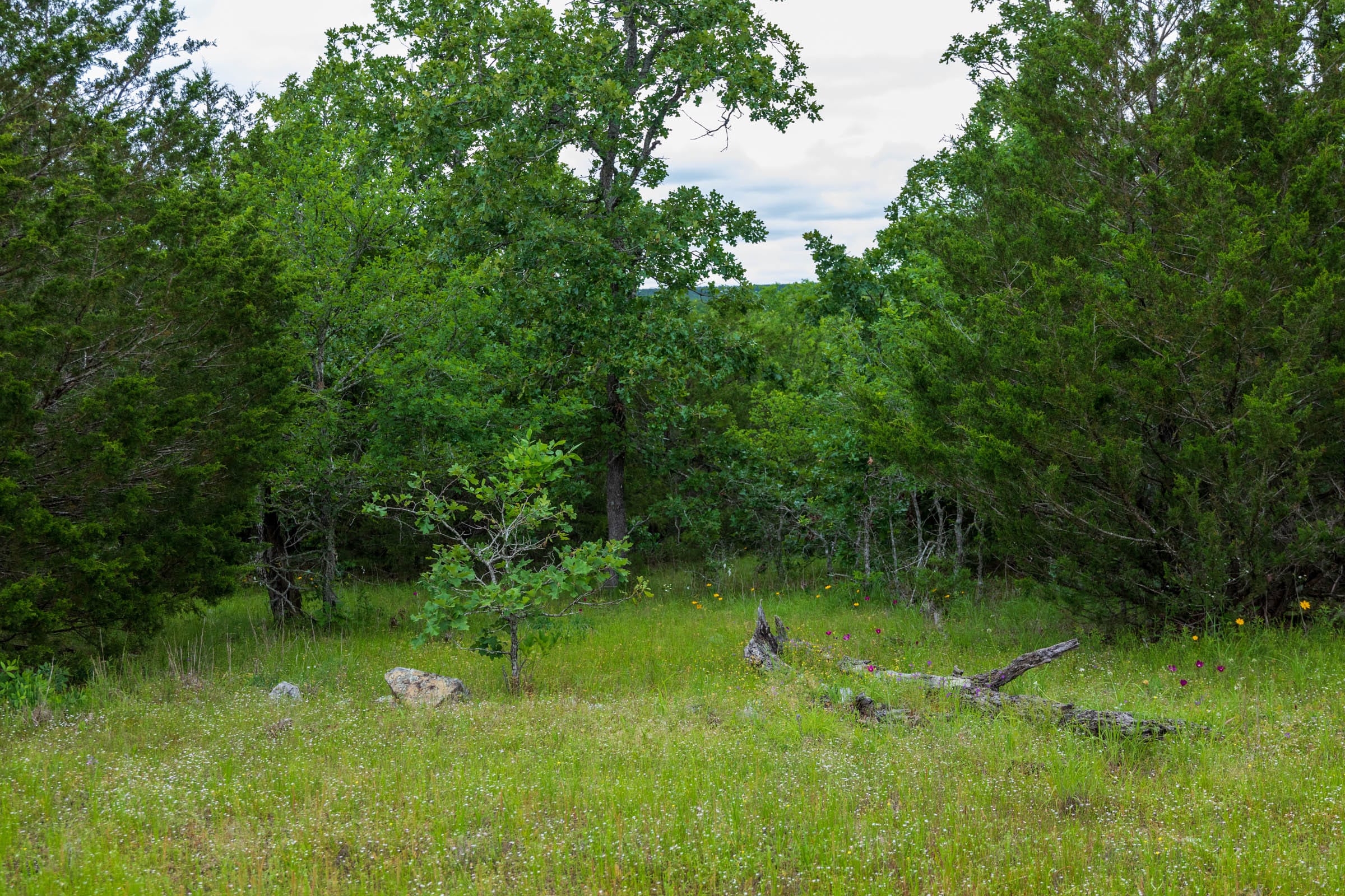 Falcon Crest Tract 31 photo 4