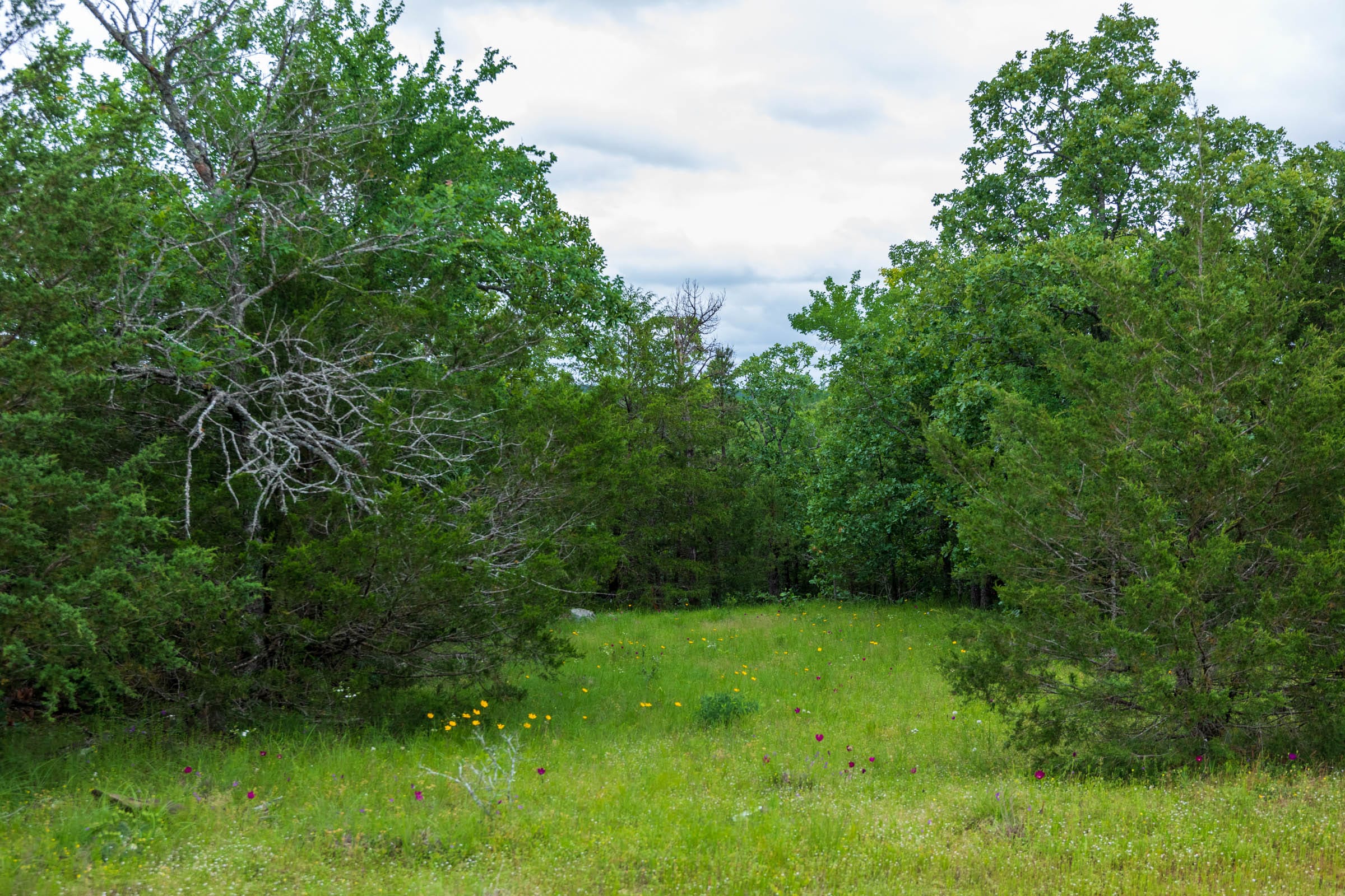 Falcon Crest Tract 31 photo 6