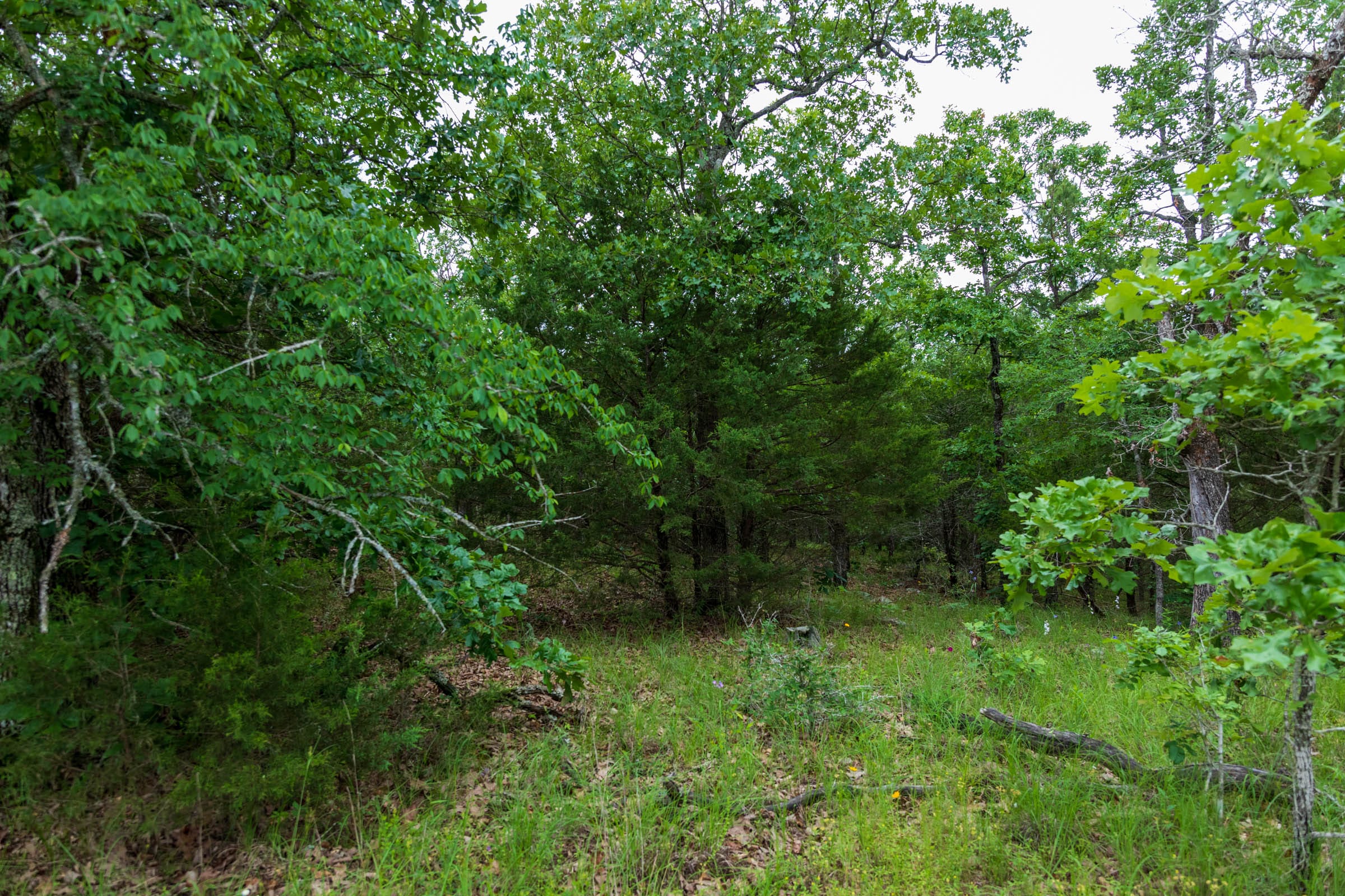 Falcon Crest Tract 31 photo 7