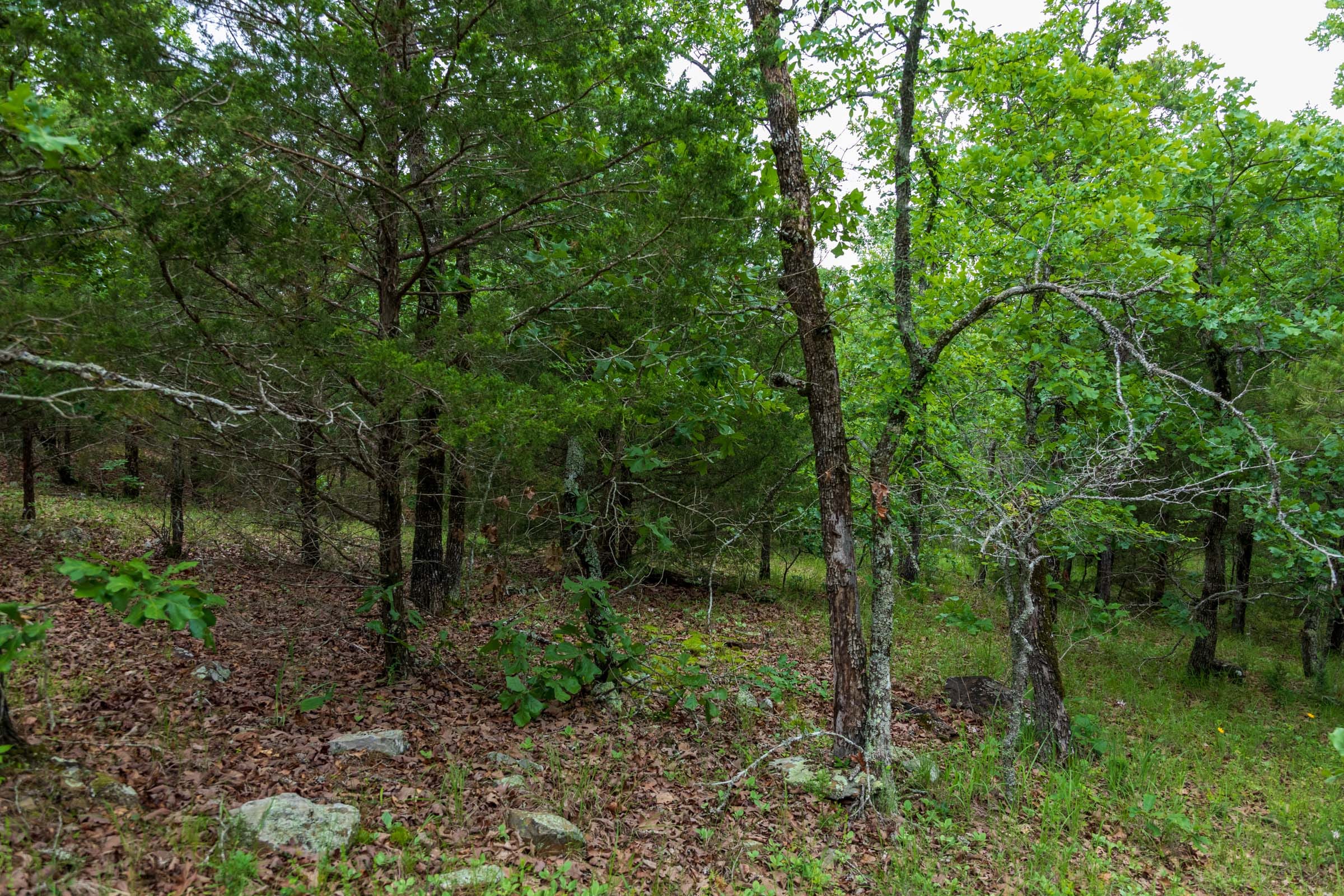 Falcon Crest Tract 31 photo 8