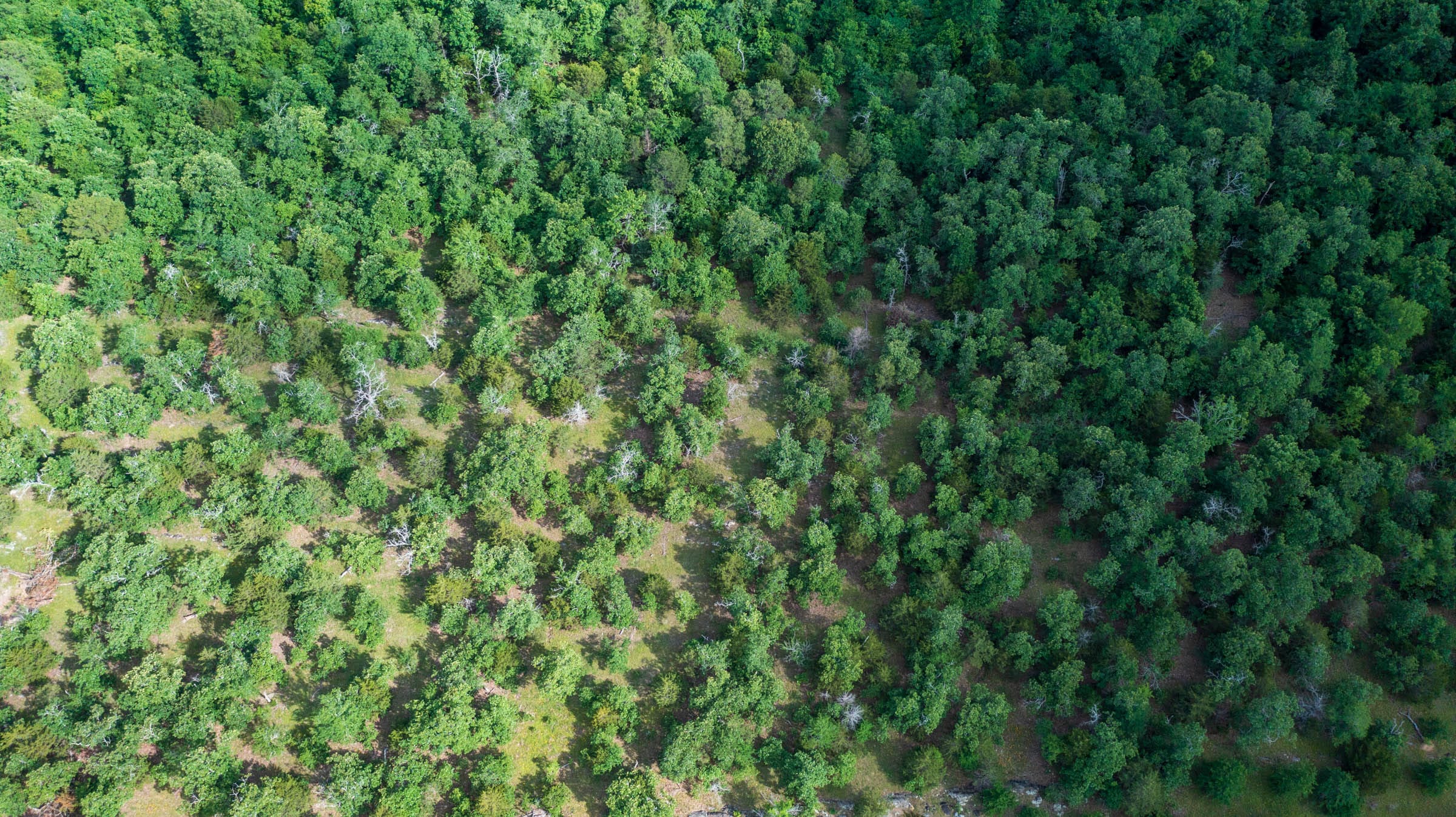 Falcon Crest Tract 31 photo 10
