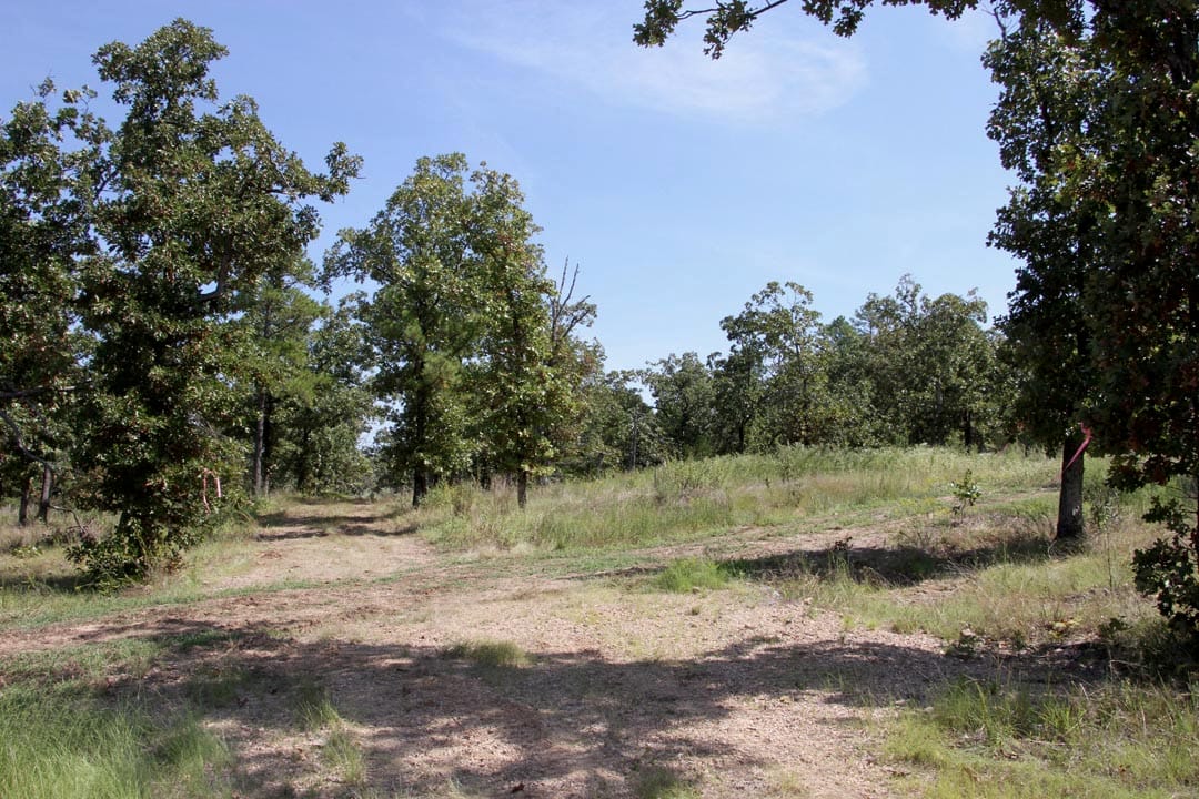 Lakeview Private Reserve Tract 4 photo 5